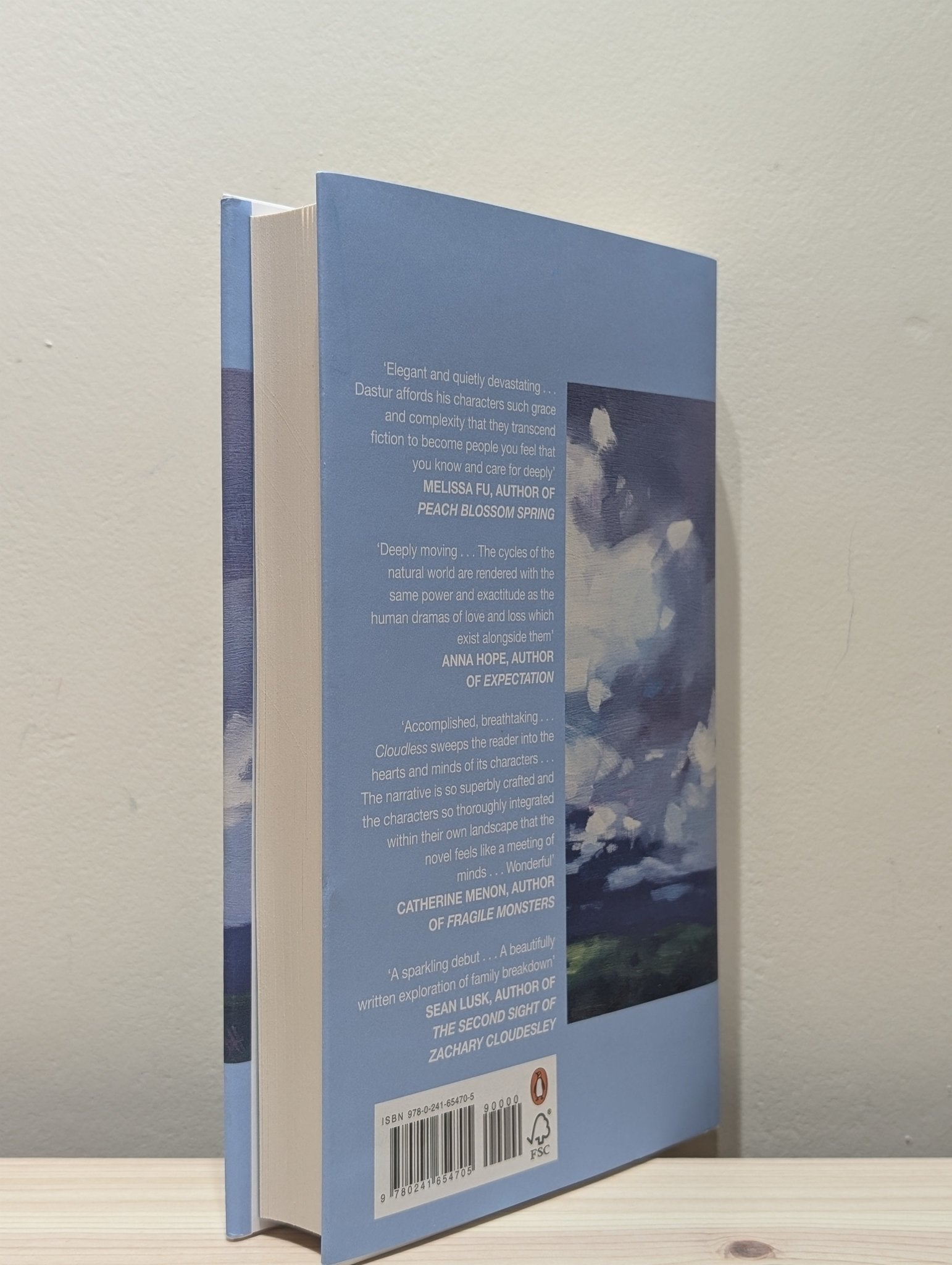Cloudless by Rupert Dastur (Signed Dated First Edition) - Fialta Books