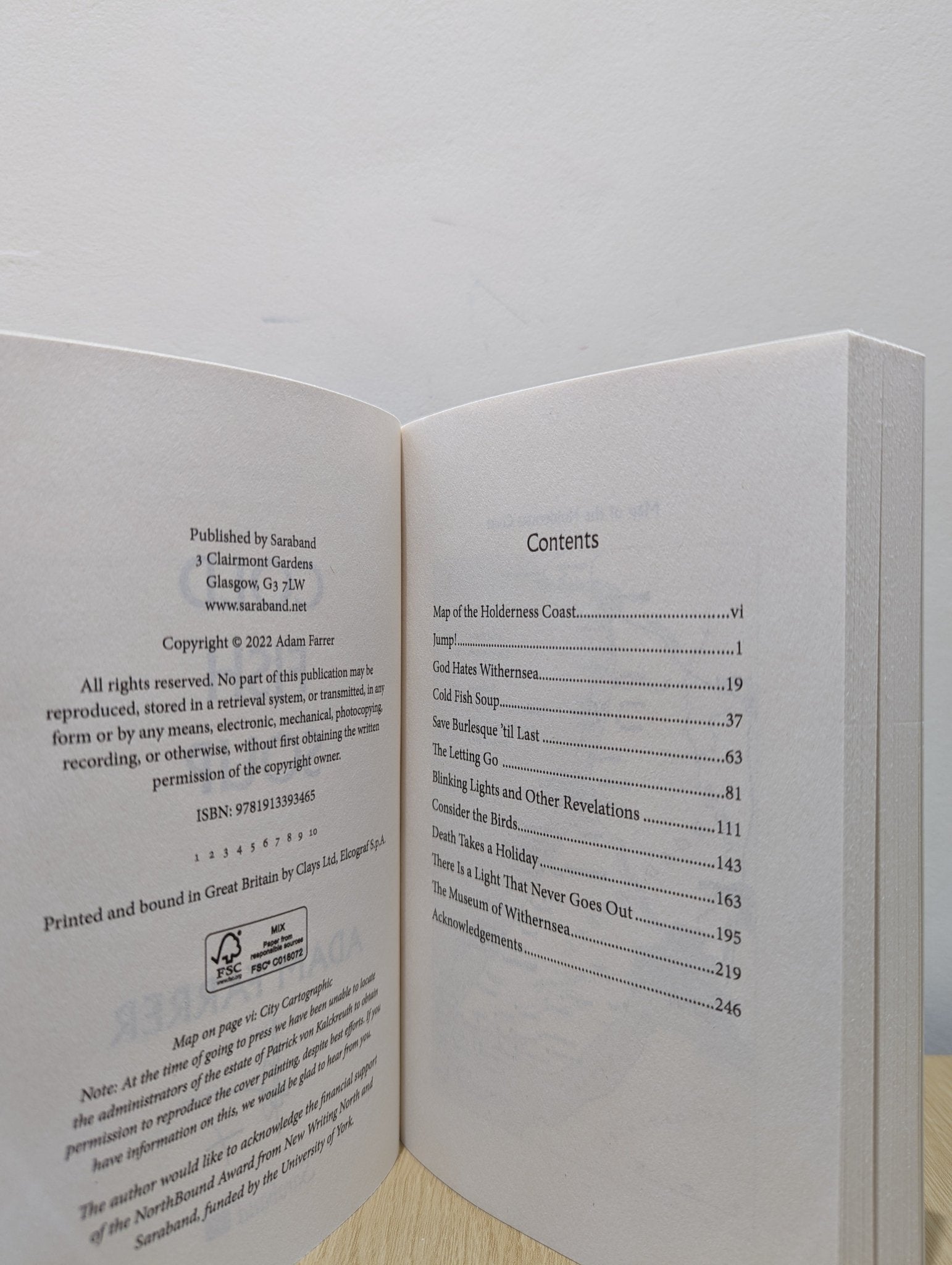 Cold Fish Soup by Adam Farrer (Signed First Edition) - Fialta Books