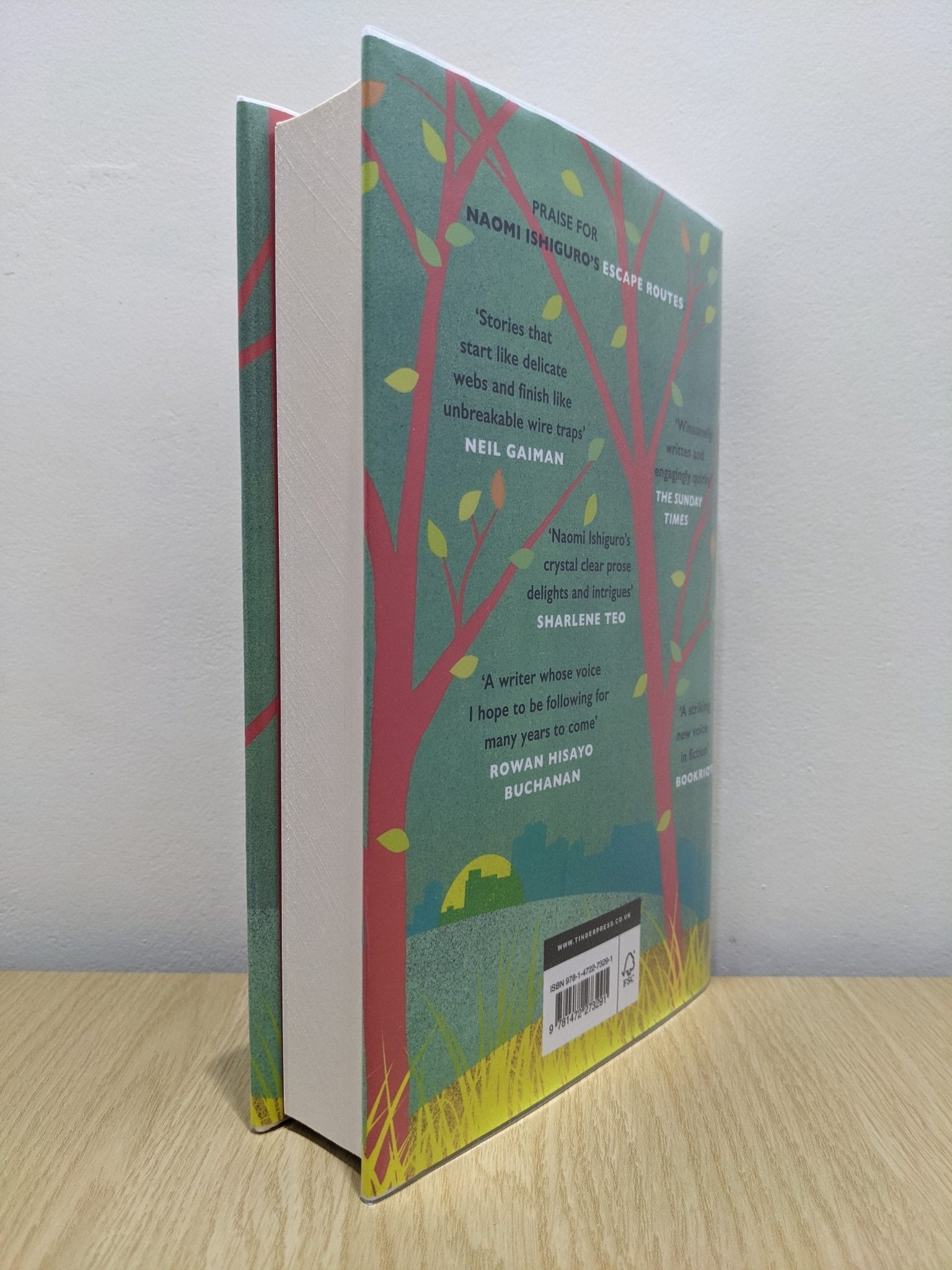 Common Ground by Naomi Ishiguro (Signed First Edition) - Fialta Books