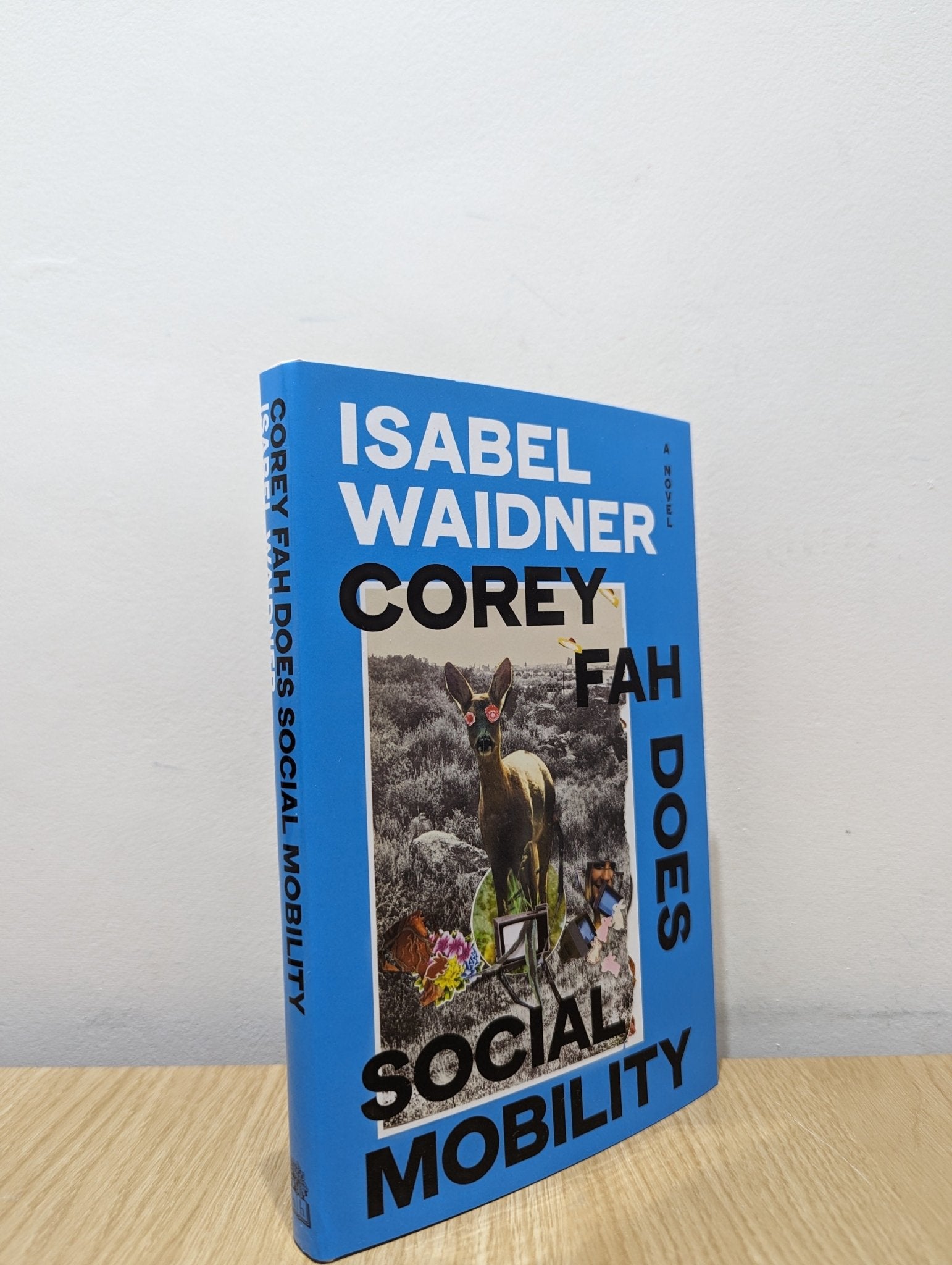 Corey Fah Does Social Mobility by Isabel Waidner (Signed First Edition) - Fialta Books