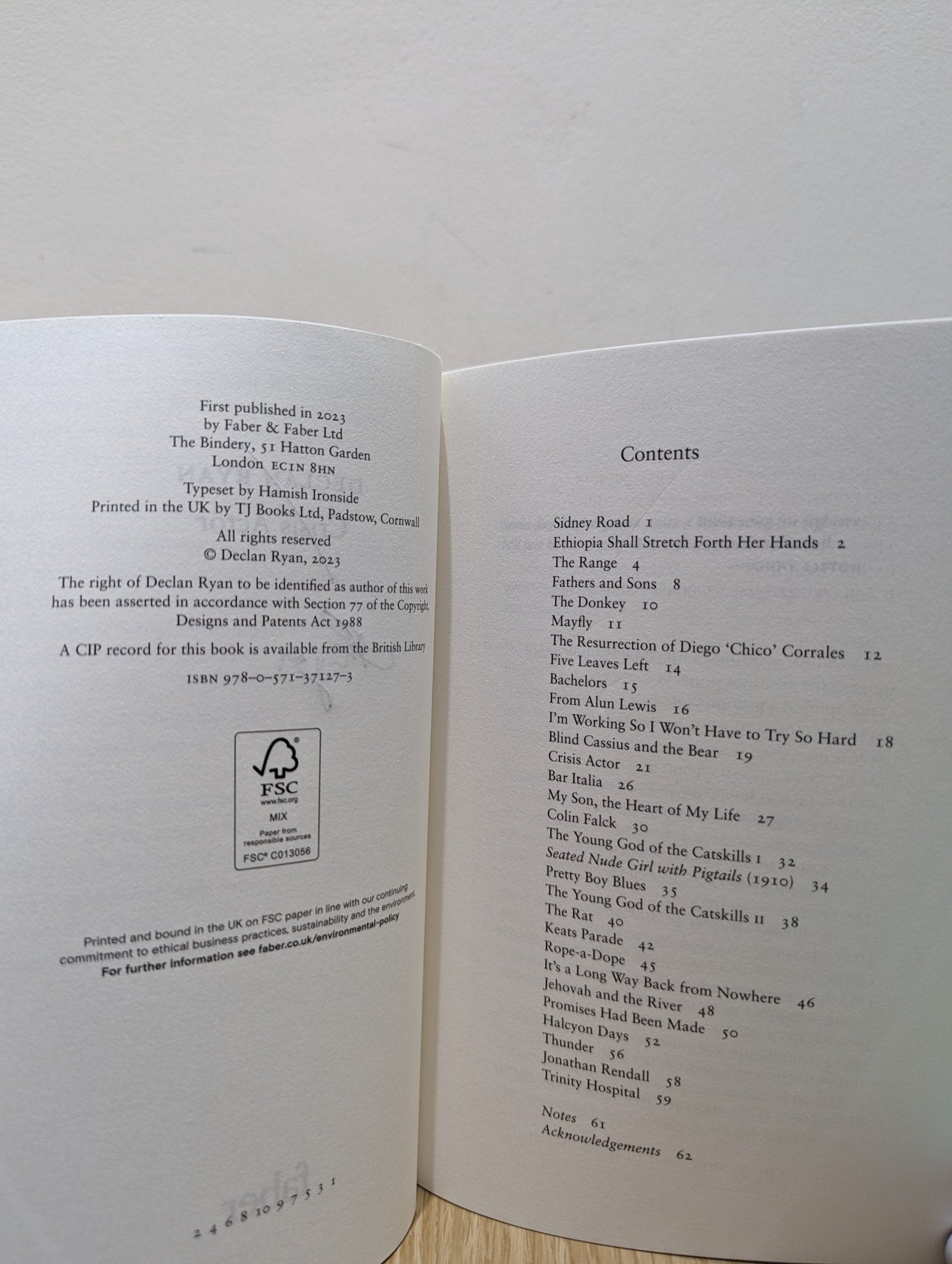 Crisis Actor by Declan Ryan (Signed First Edition) - Fialta Books