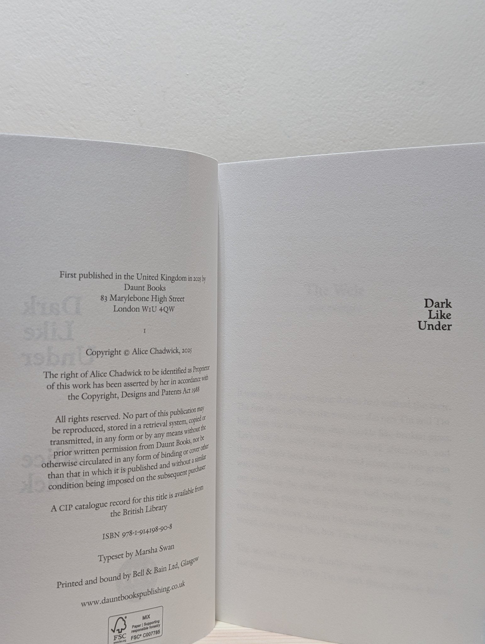 Dark Like Under by Alice Chadwick (First Edition) - Fialta Books