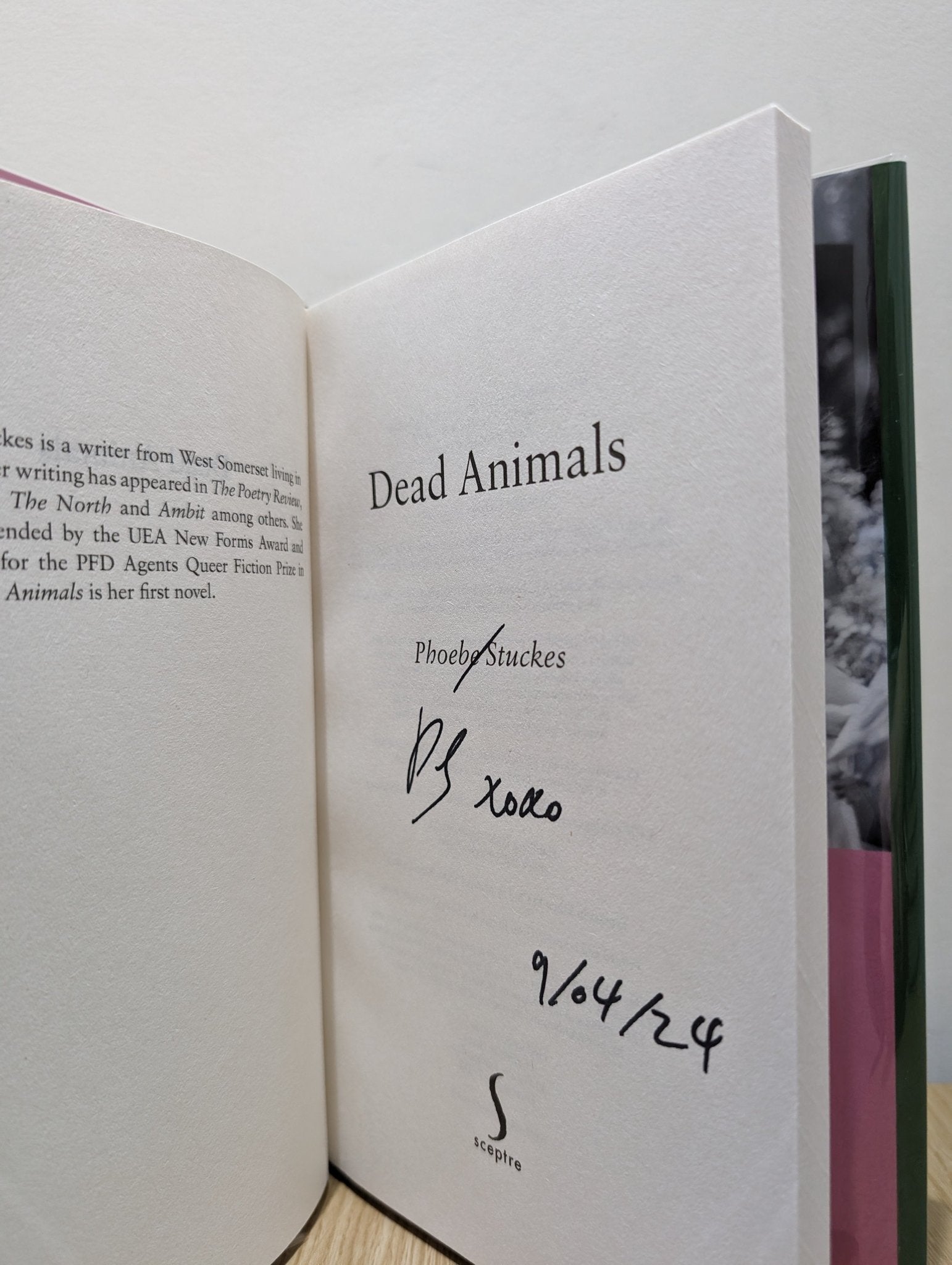 Dead Animals by Phoebe Stuckes (Signed Dated First Edition) - Fialta Books