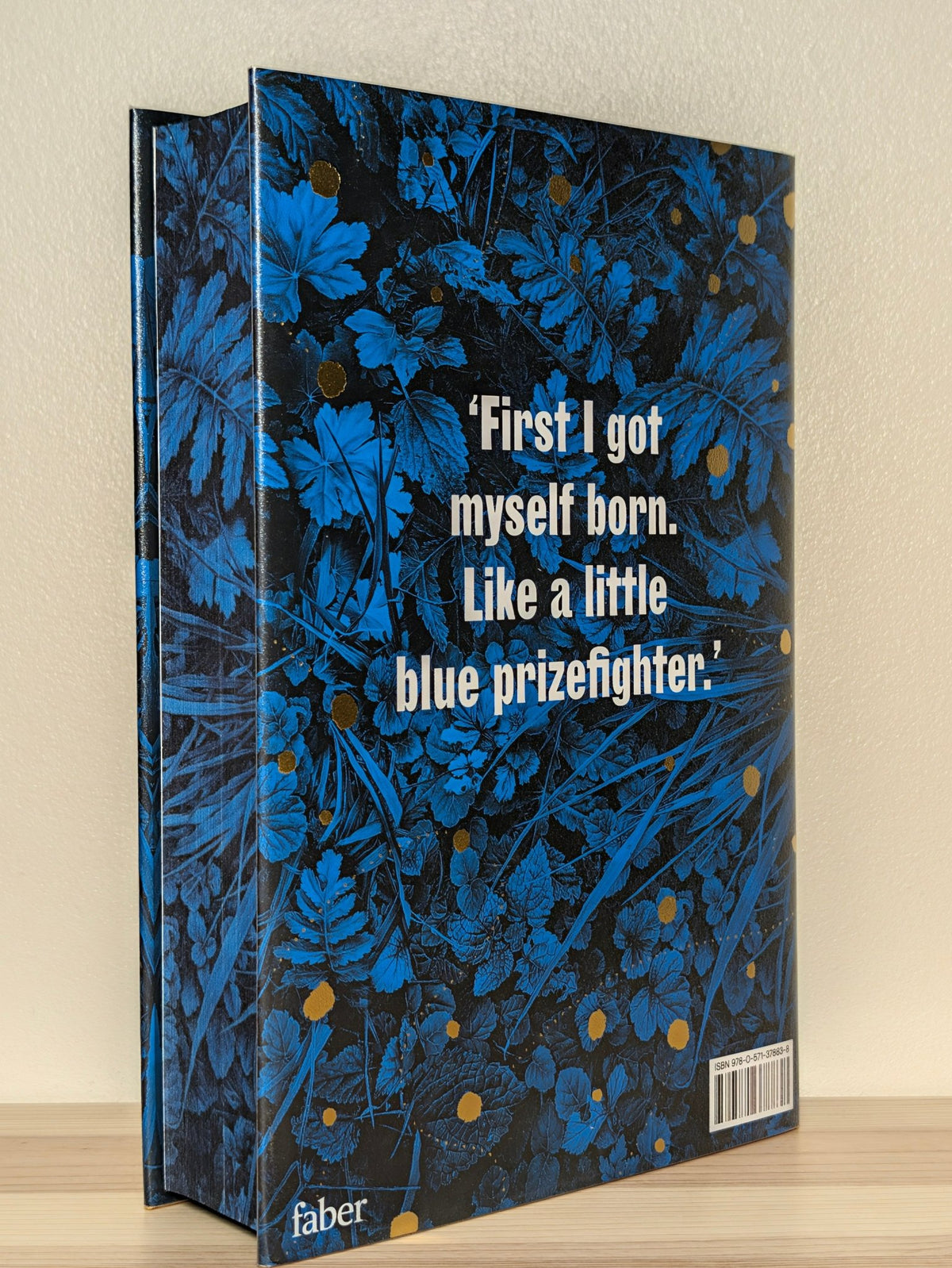 Demon Copperhead by Barbara Kingsolver (First Edition with sprayed edges) - Fialta Books