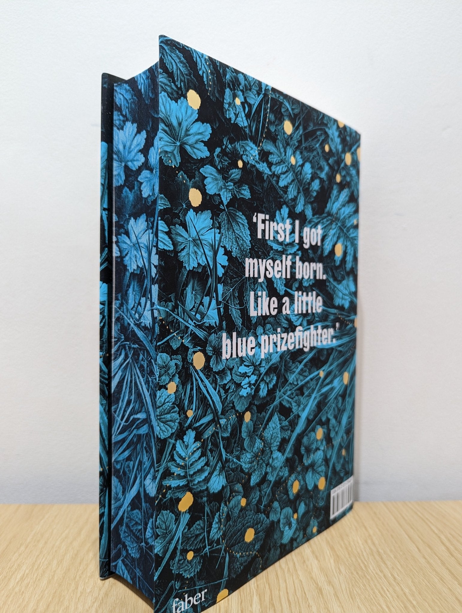 Demon Copperhead by Barbara Kingsolver (First Edition with sprayed edges and author letter) - Fialta Books