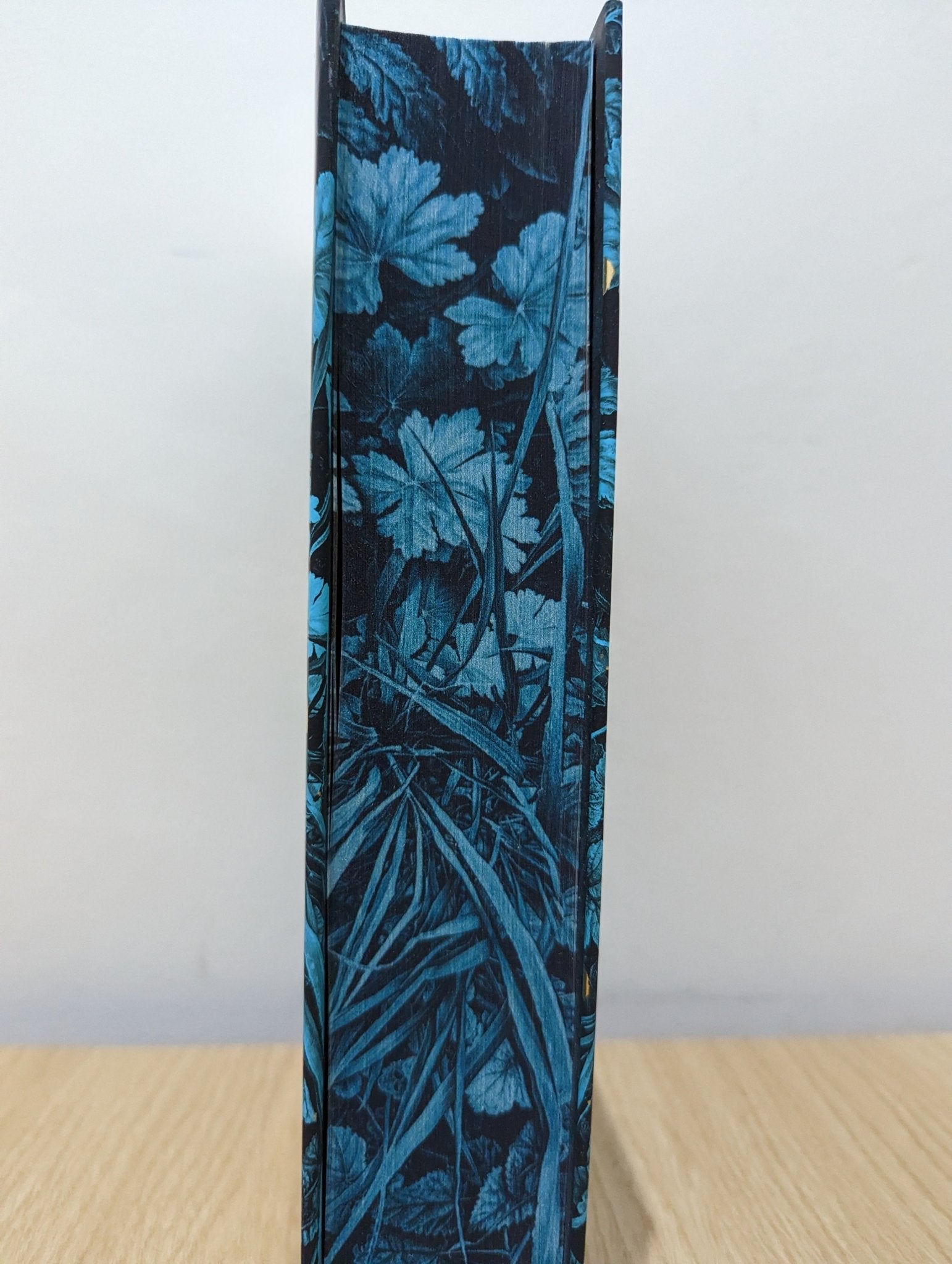 Demon Copperhead by Barbara Kingsolver (First Edition with sprayed edges and author letter) - Fialta Books