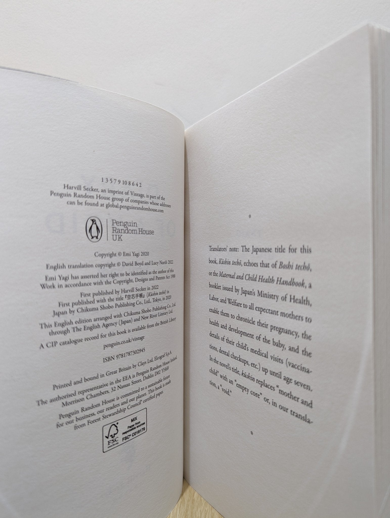 Diary of a Void by Emi Yagi (Signed First Edition) - Fialta Books