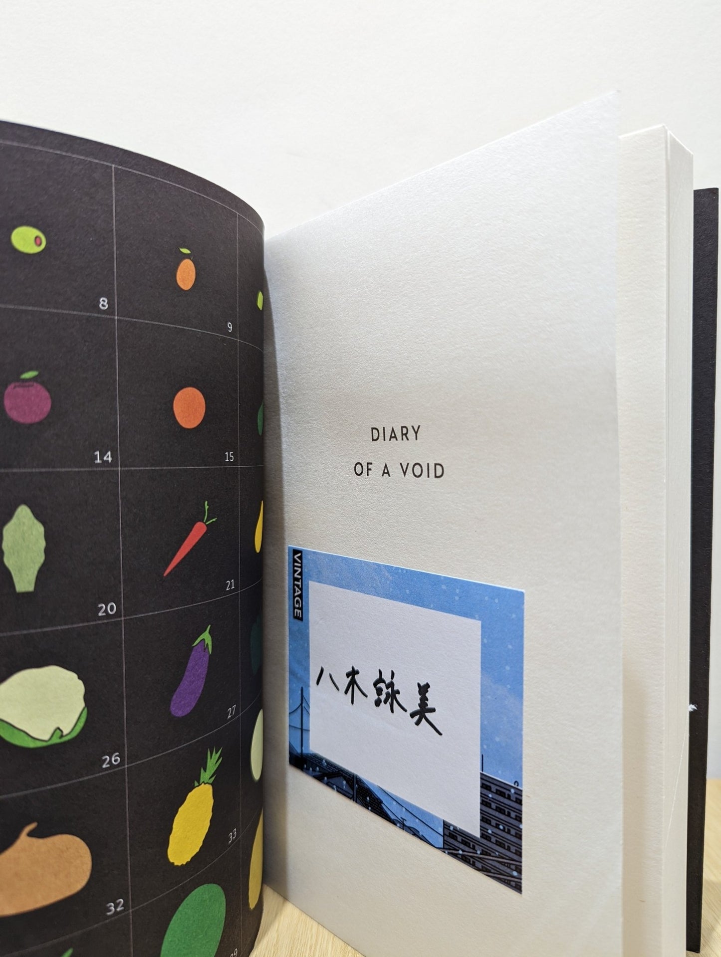 Diary of a Void by Emi Yagi (Signed First Edition) - Fialta Books