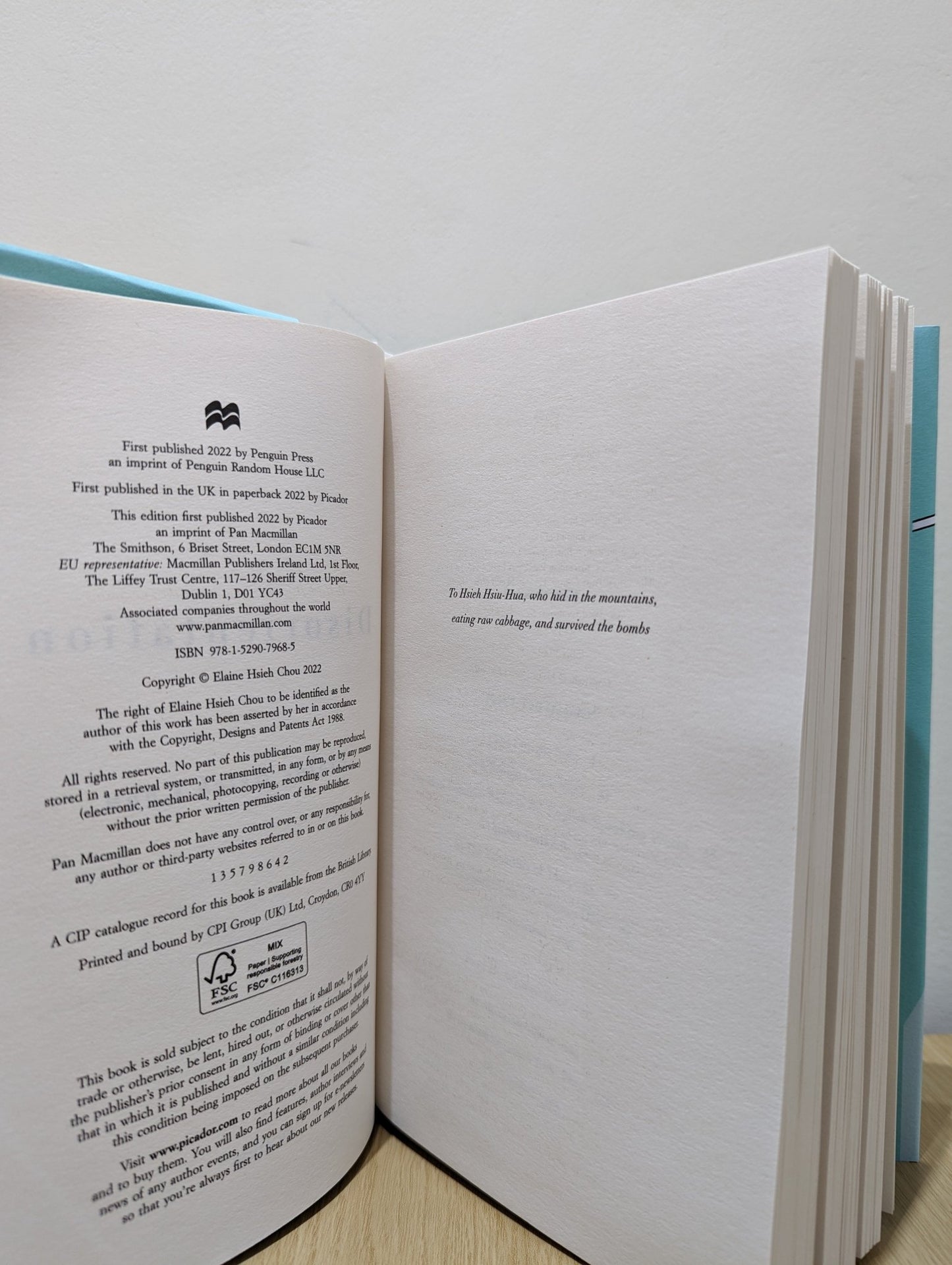 Disorientation by Elaine Hsieh Chou (Signed First Edition) - Fialta Books