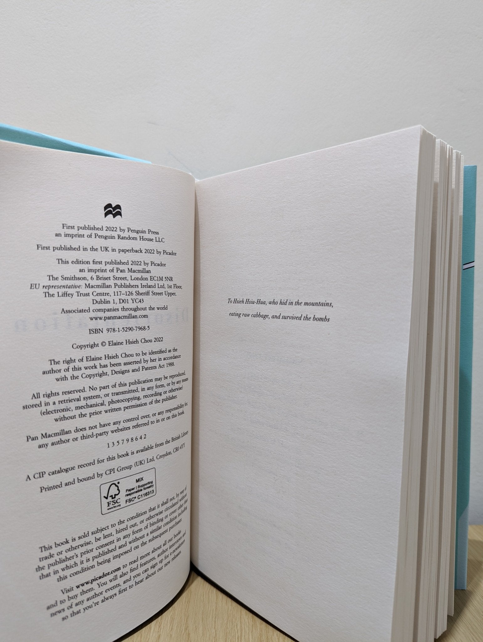 Disorientation by Elaine Hsieh Chou (Signed First Edition) - Fialta Books