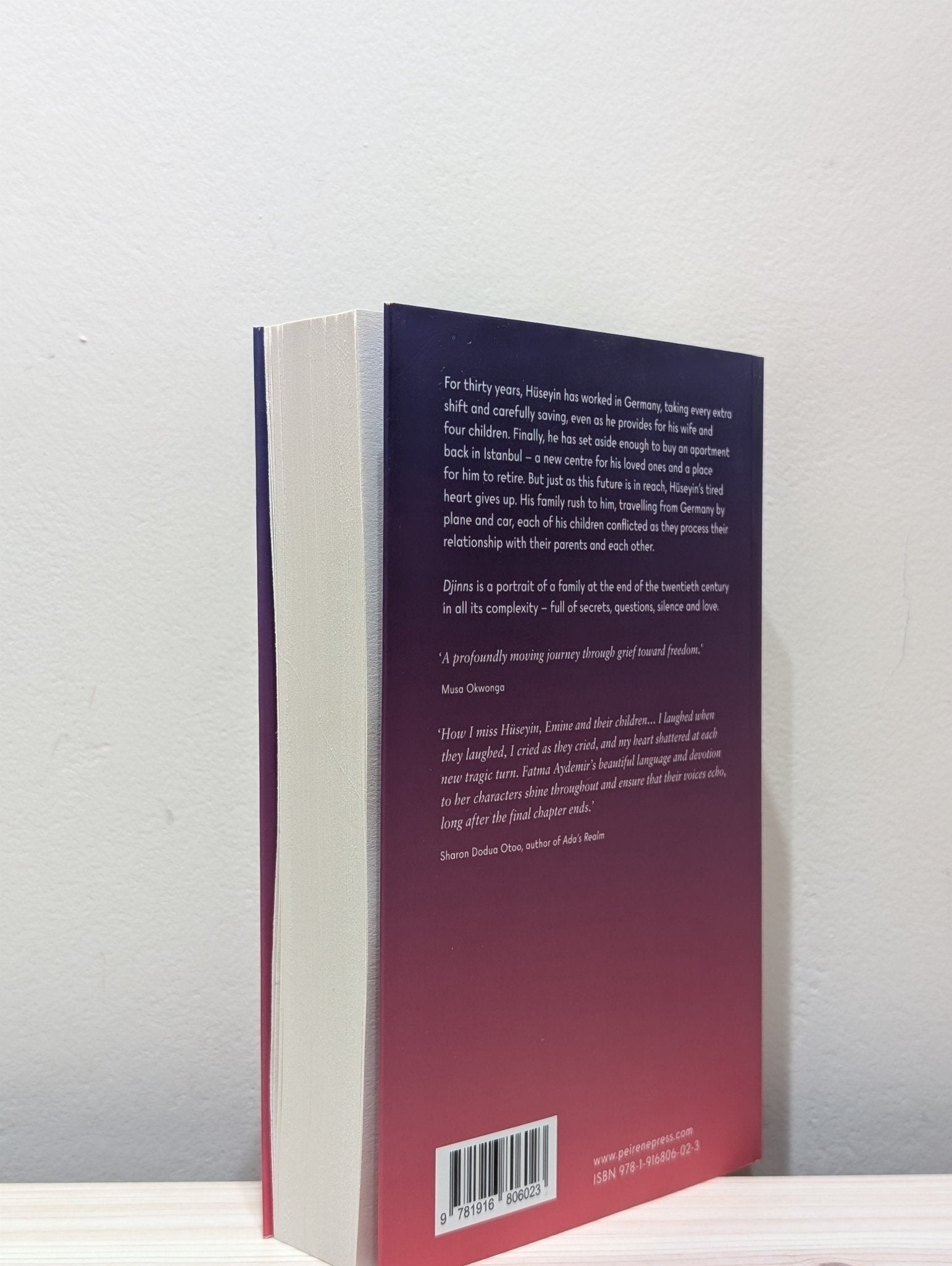 Djinns by Fatma Aydemir (Signed First Edition) - Fialta Books