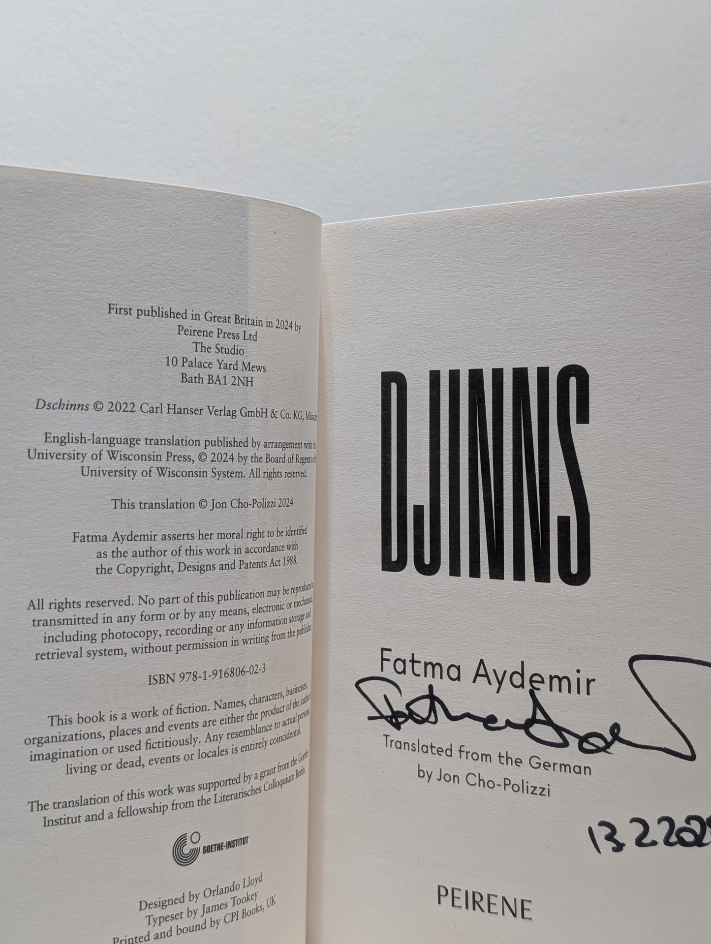 Djinns by Fatma Aydemir (Signed First Edition) - Fialta Books