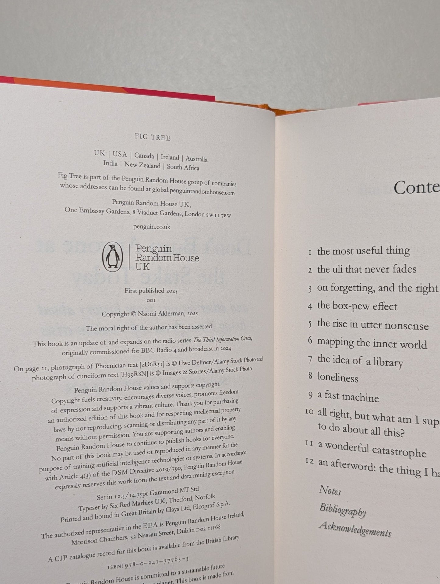 Don't Burn Anyone at the Stake Today by Naomi Alderman (Signed First Edition) - Fialta Books