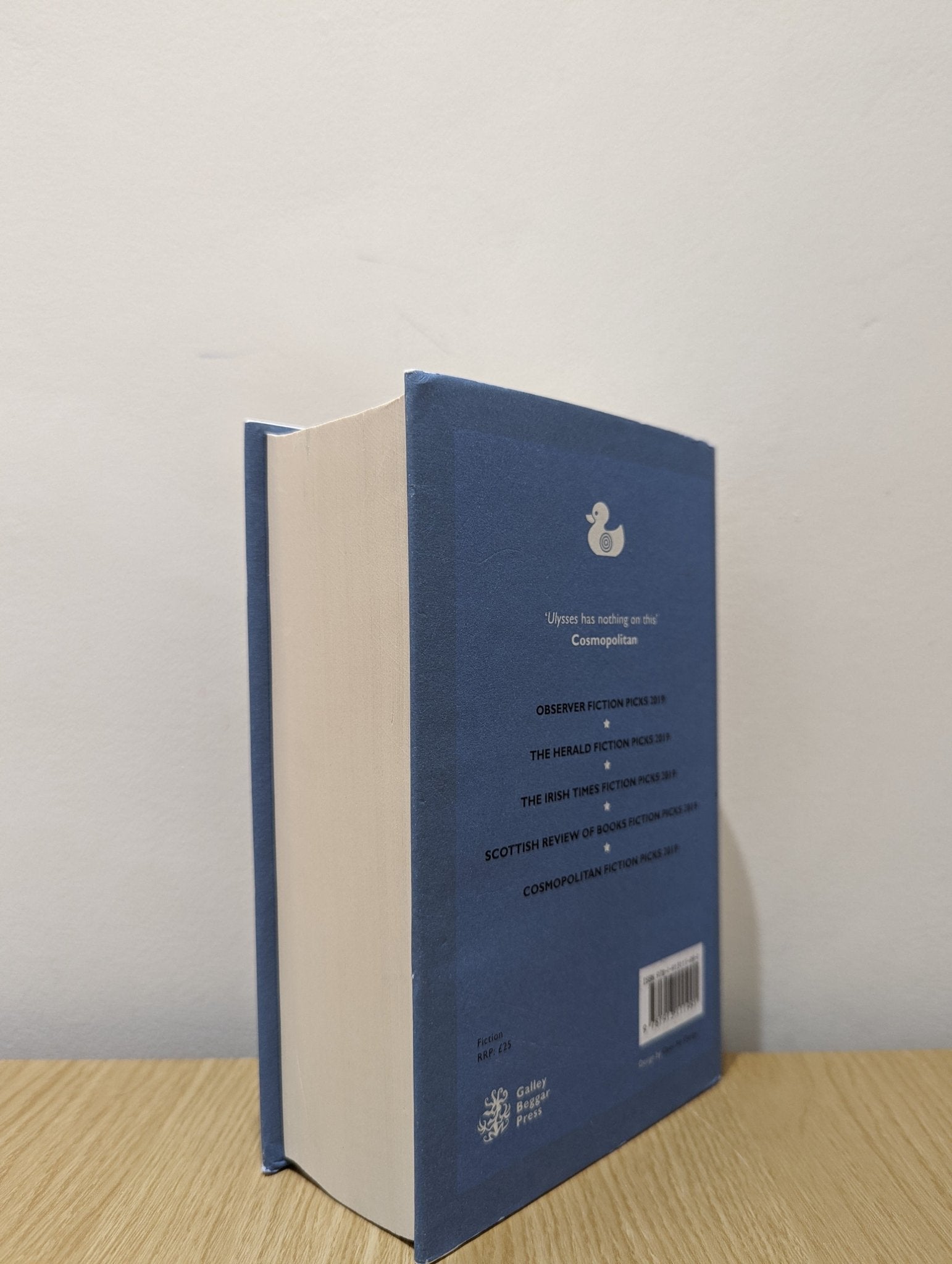 Ducks, Newburyport by Lucy Ellmann (First Edition Hardback) - Fialta Books