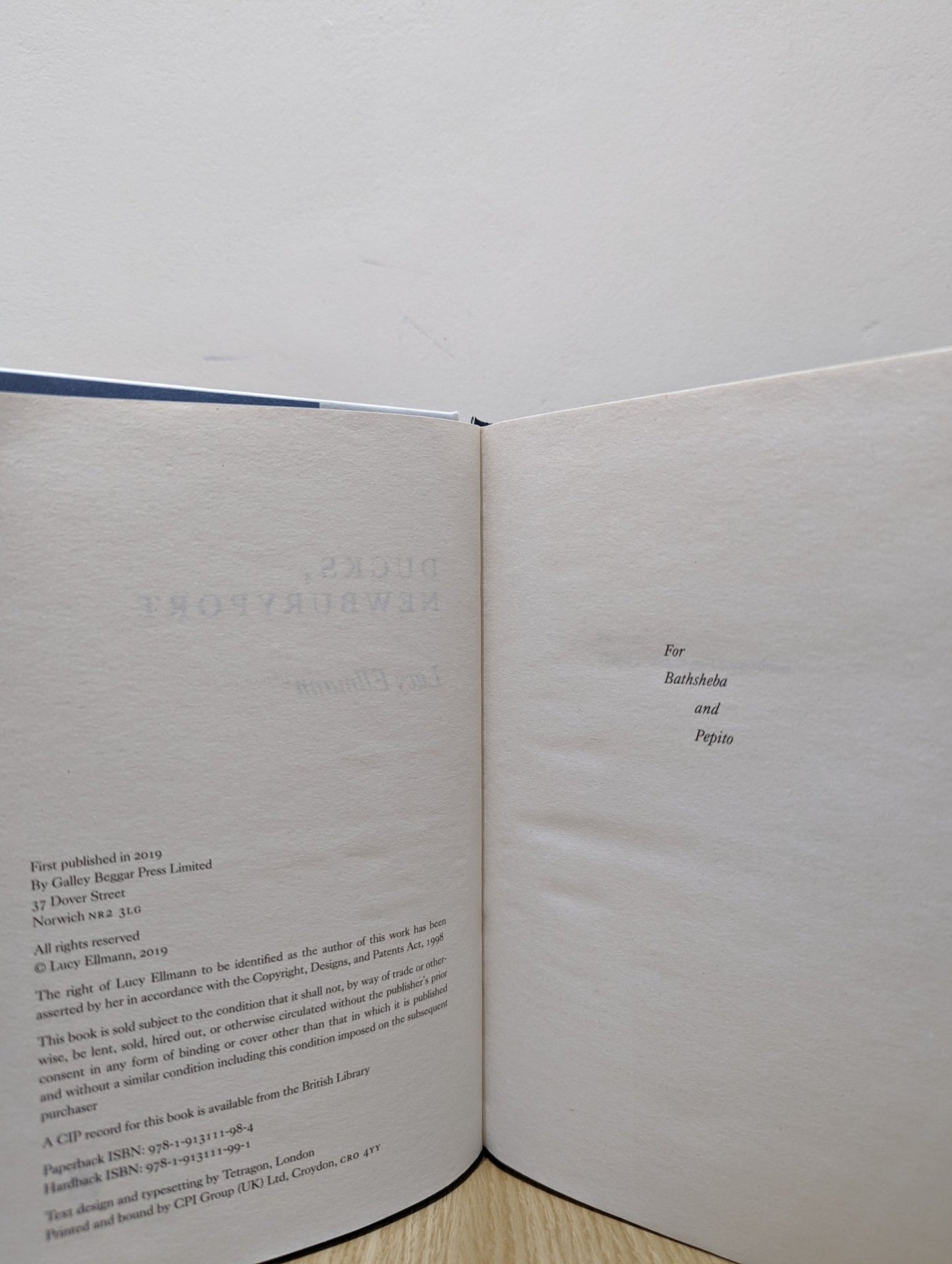 Ducks, Newburyport by Lucy Ellmann (First Edition Hardback) - Fialta Books