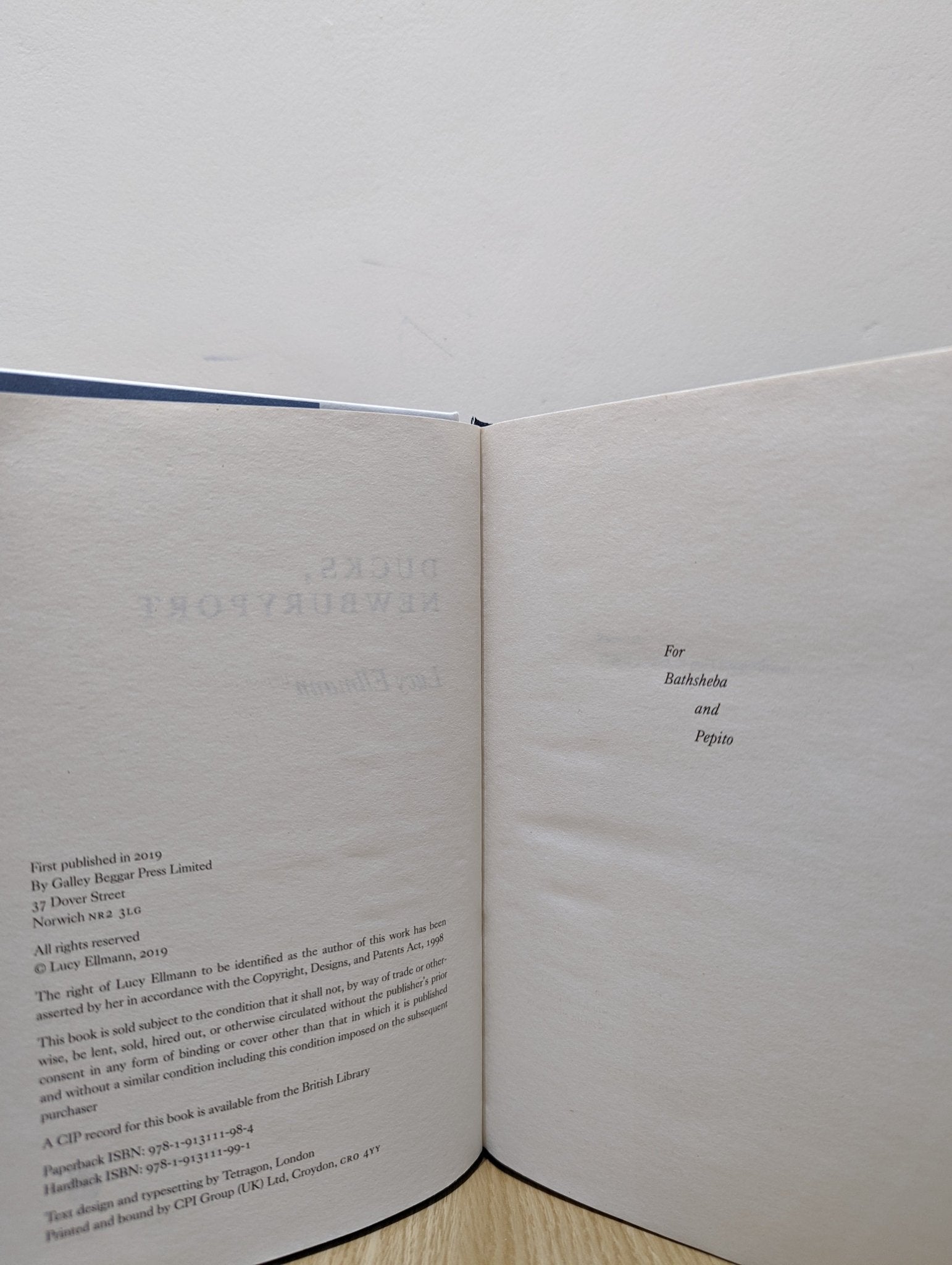 Ducks, Newburyport by Lucy Ellmann (First Edition Hardback) - Fialta Books