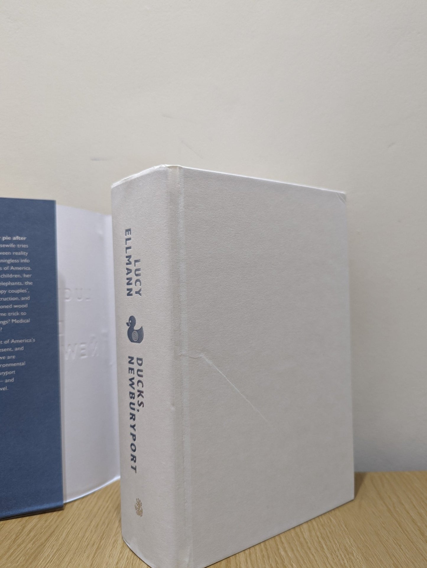 Ducks, Newburyport by Lucy Ellmann (First Edition Hardback) - Fialta Books