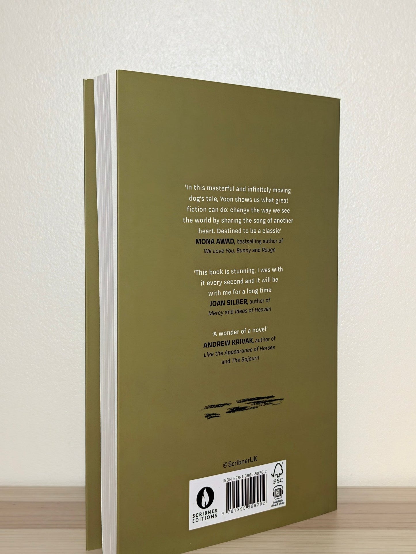 Etna by Paul Yoon (First Edition) - Fialta Books