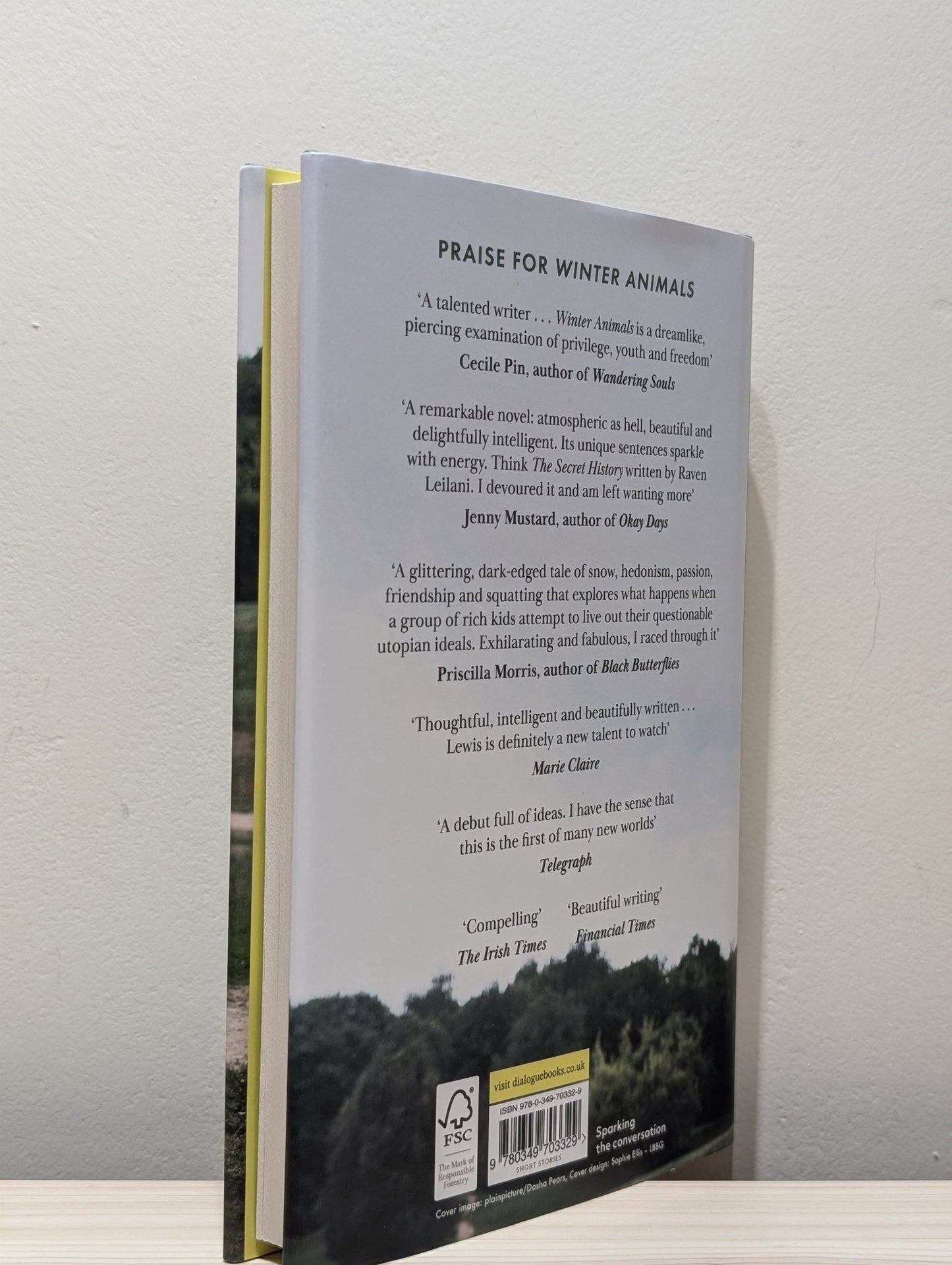 Everest by Ashani Lewis (Signed First Edition) - Fialta Books