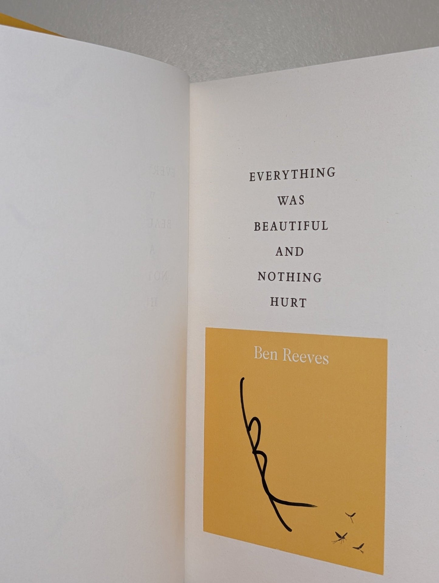 Everything was Beautiful and Nothing Hurt by Ben Reeves (Signed Edition) - Fialta Books