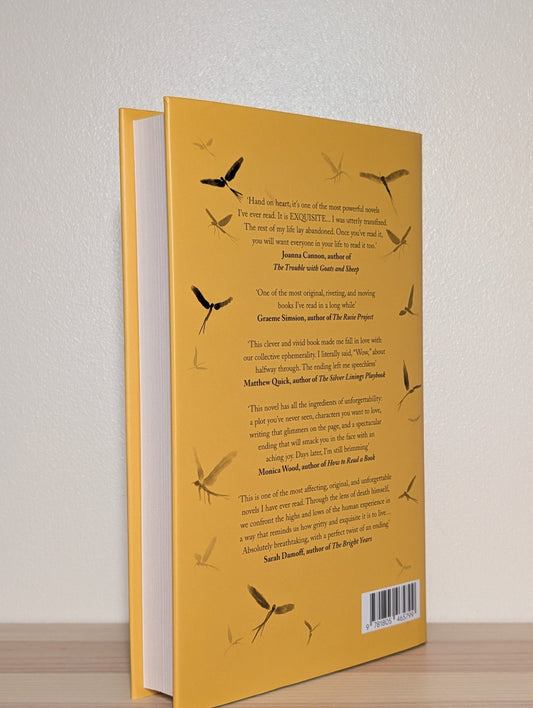 Everything was Beautiful and Nothing Hurt by Ben Reeves (Signed Edition) - Fialta Books