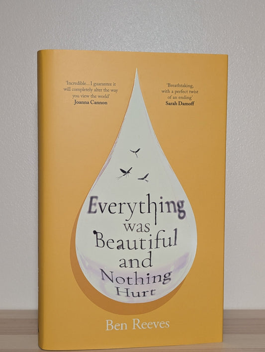 Everything was Beautiful and Nothing Hurt by Ben Reeves (Signed Edition) - Fialta Books