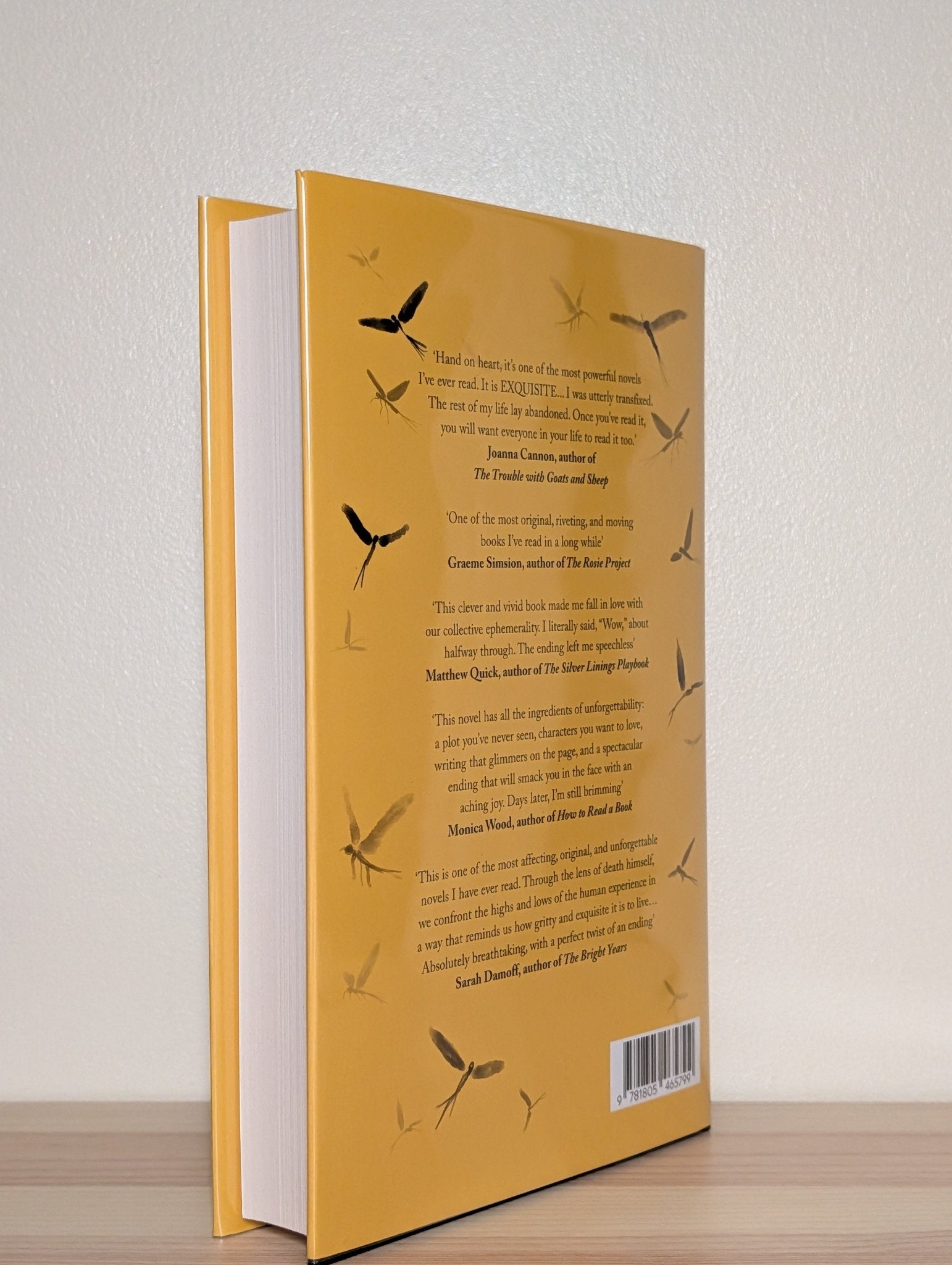 Everything was Beautiful and Nothing Hurt by Ben Reeves (Signed First Edition) - Fialta Books