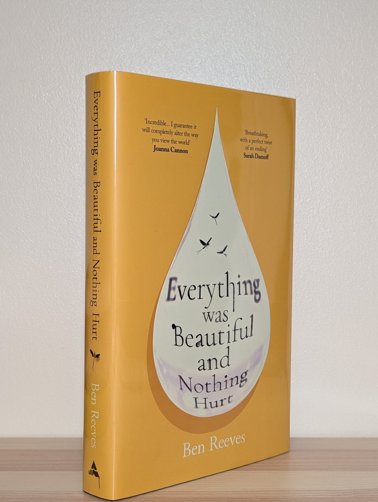 Everything was Beautiful and Nothing Hurt by Ben Reeves (Signed First Edition) - Fialta Books