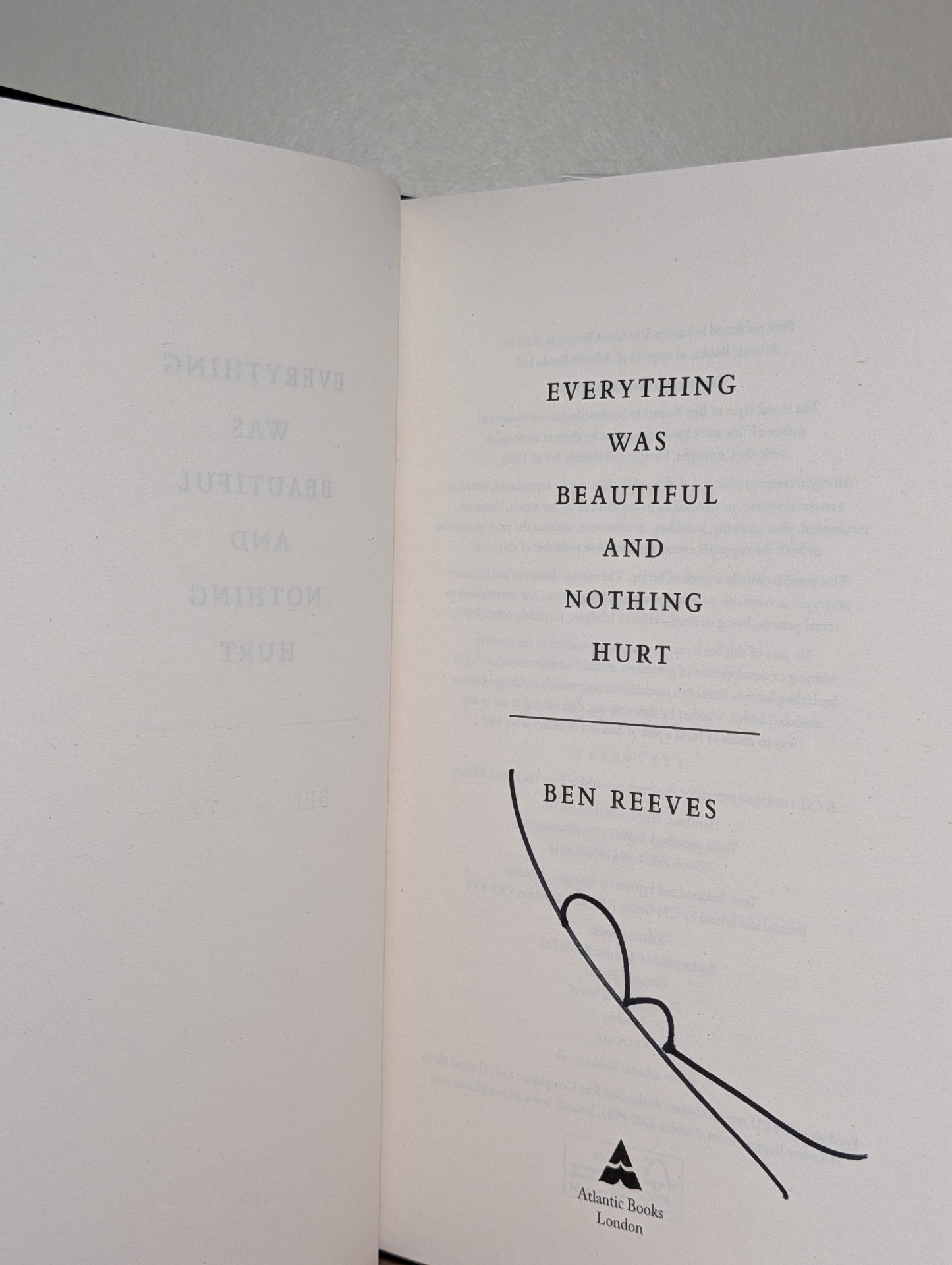 Everything was Beautiful and Nothing Hurt by Ben Reeves (Signed First Edition) - Fialta Books