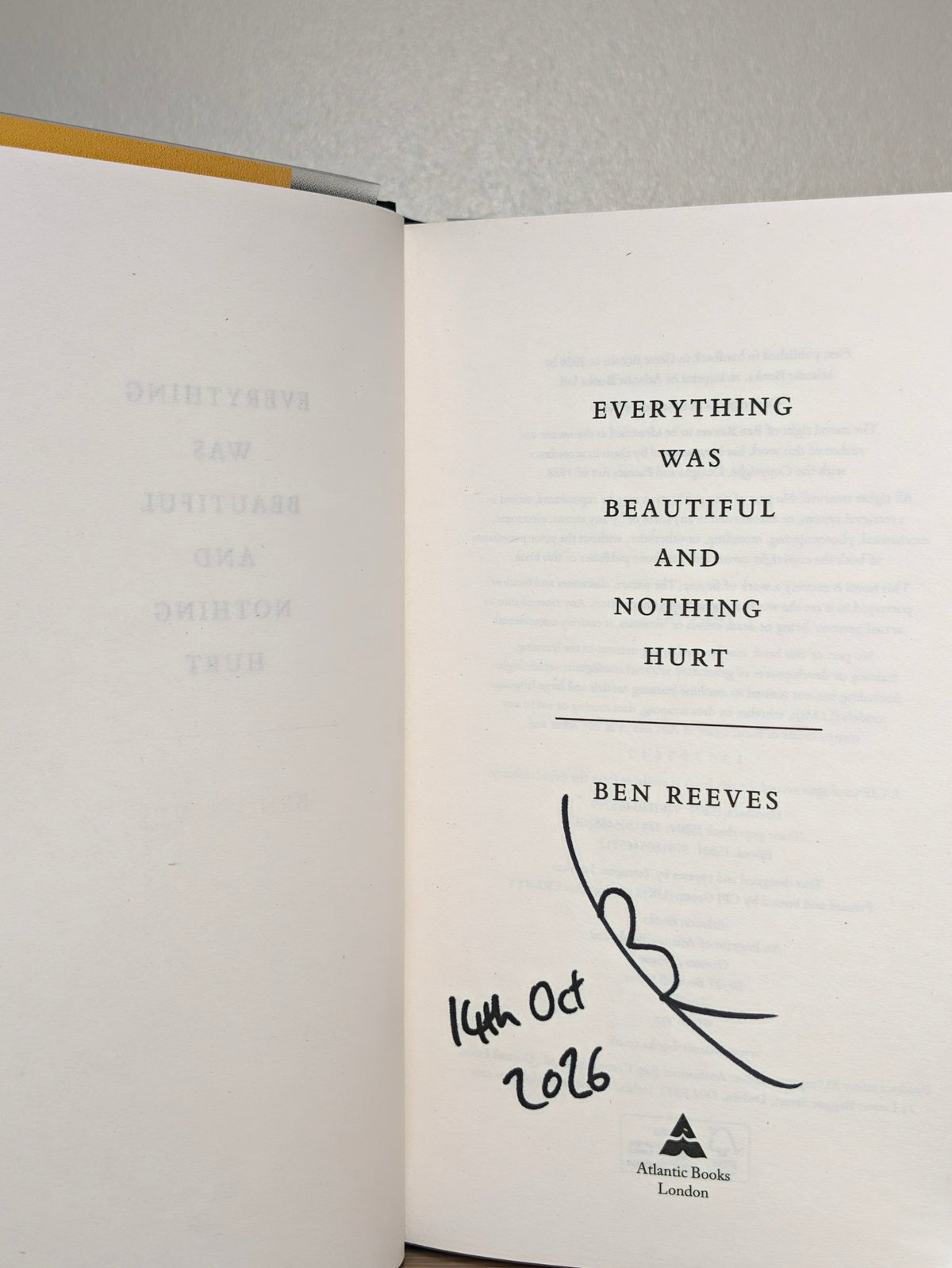 Everything was Beautiful and Nothing Hurt by Ben Reeves (Signed First Edition) - Fialta Books