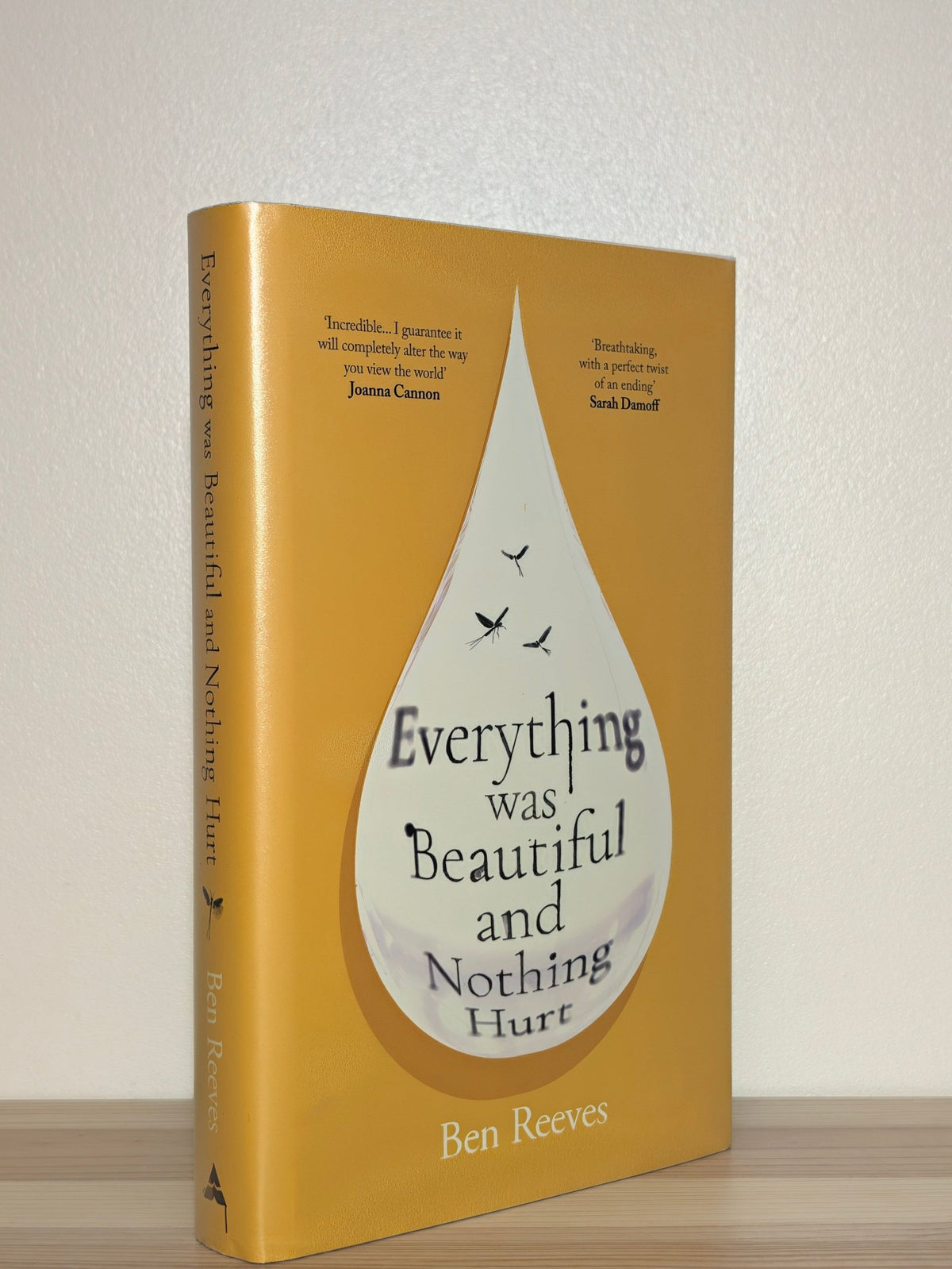 Everything was Beautiful and Nothing Hurt by Ben Reeves (Signed First Edition) - Fialta Books