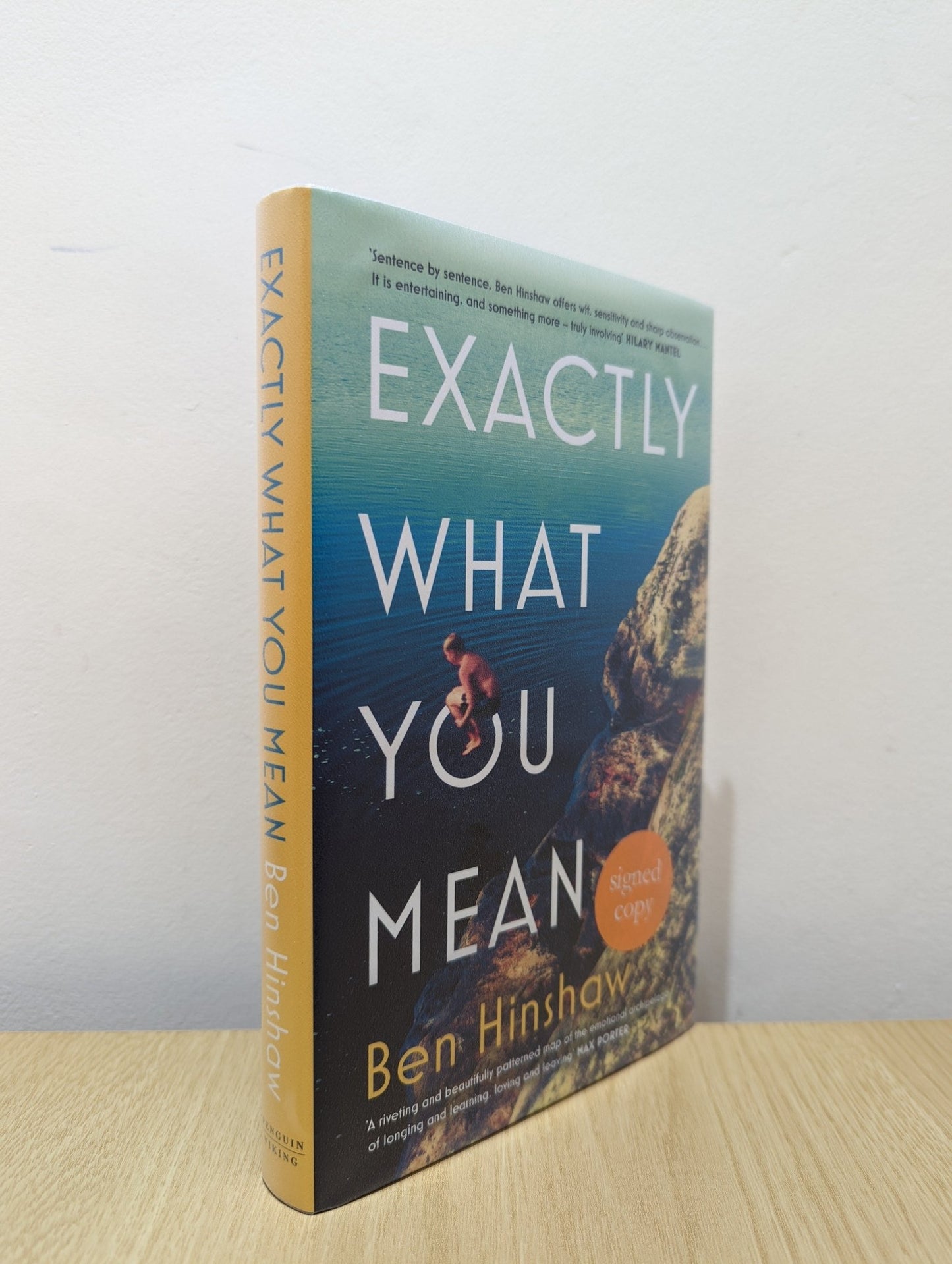 Exactly What You Mean by Ben Hinshaw (Signed First Edition) - Fialta Books