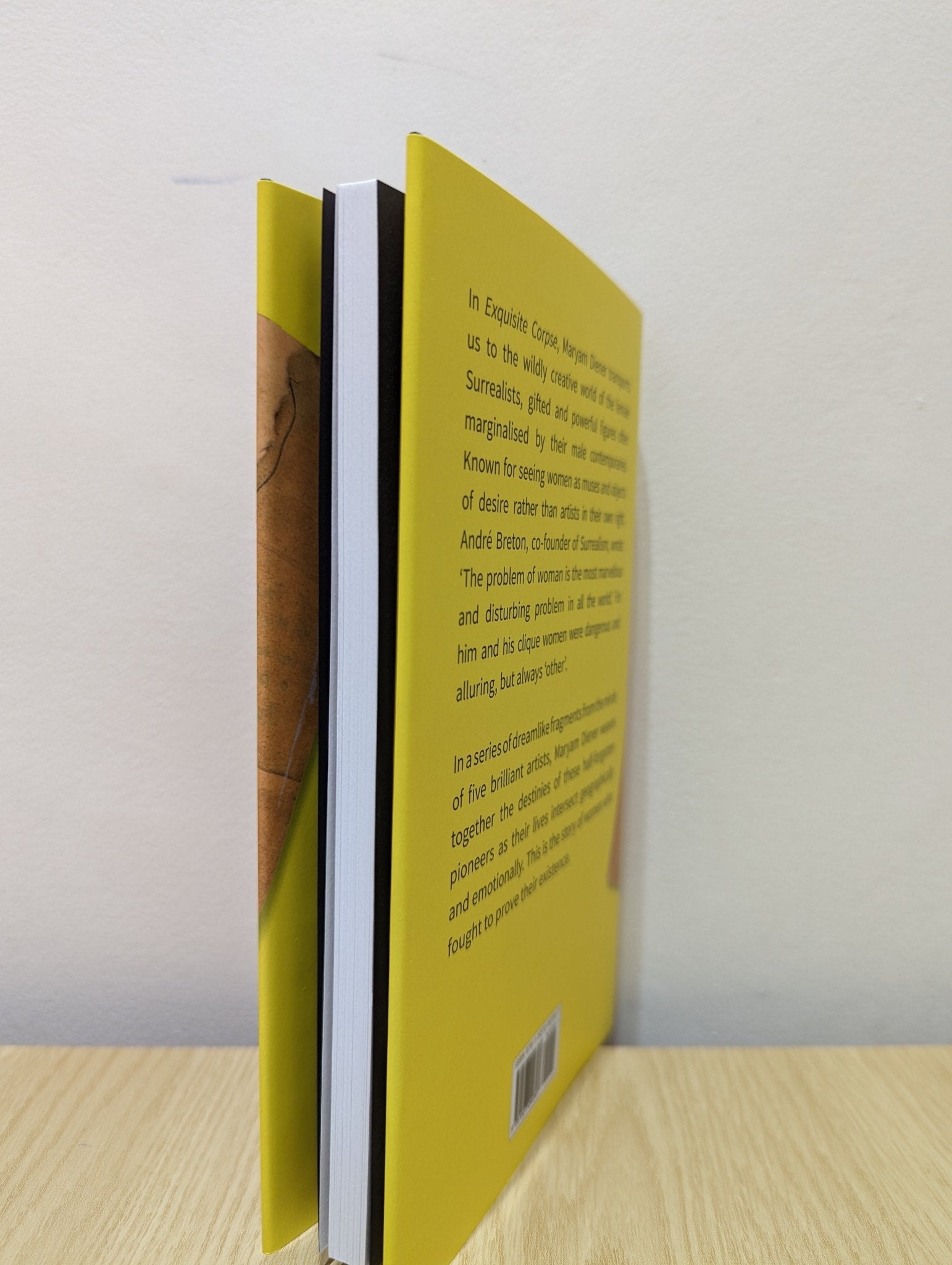 Exquisite Corpse by Maryam Diener (Signed First Edition) - Fialta Books