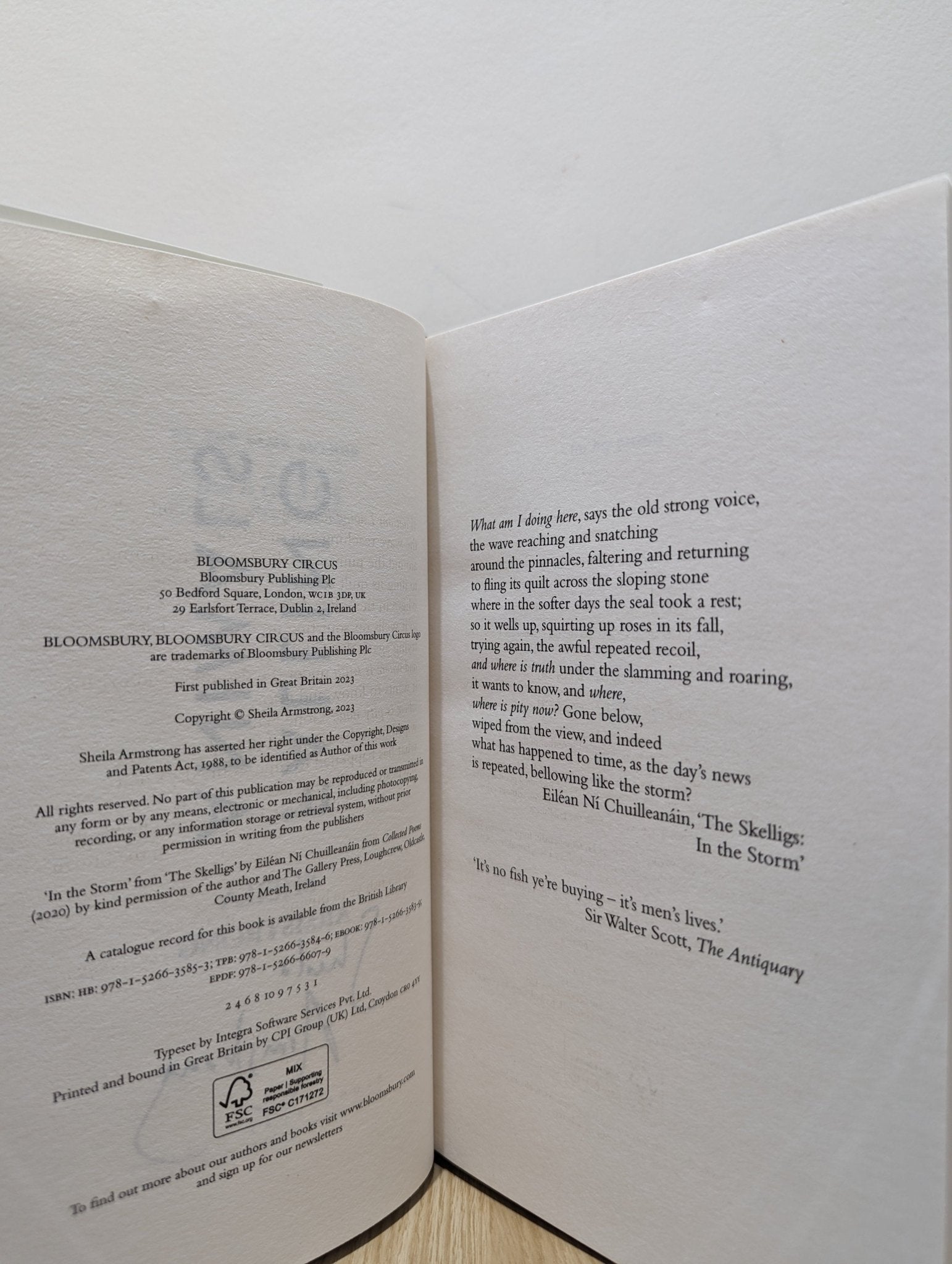 Falling Animals by Sheila Armstrong (Signed First Edition) - Fialta Books