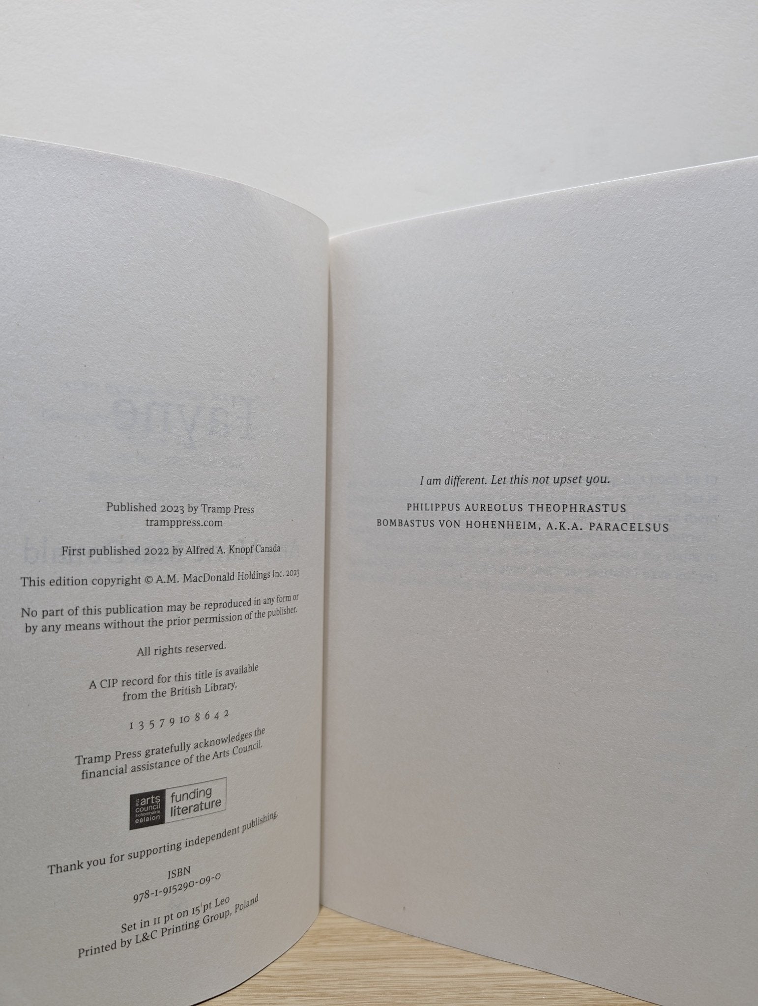 Fayne by Ann - Marie MacDonald (First Edition) - Fialta Books