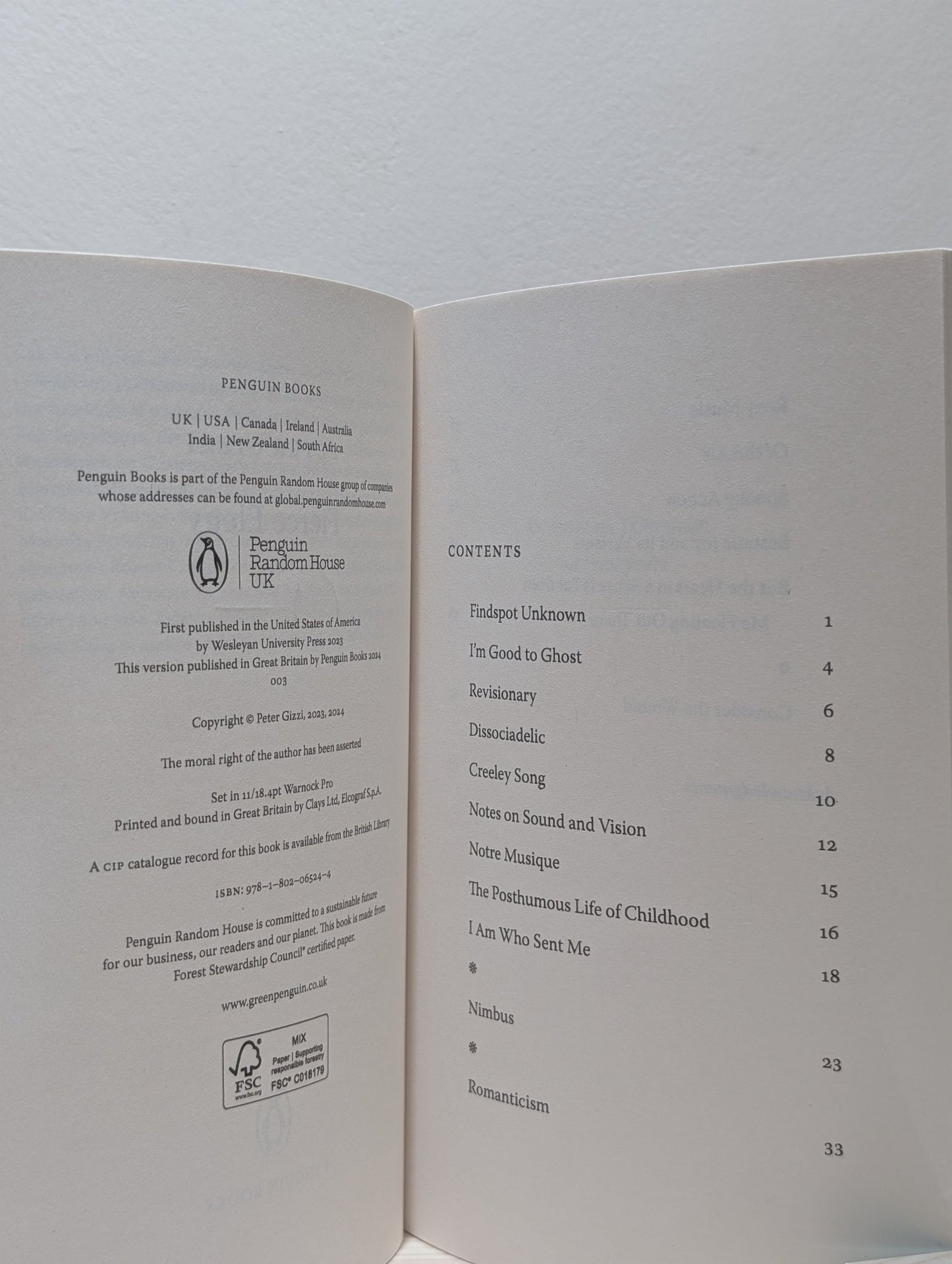 Fierce Elegy by Peter Gizzi (Signed) - Fialta Books