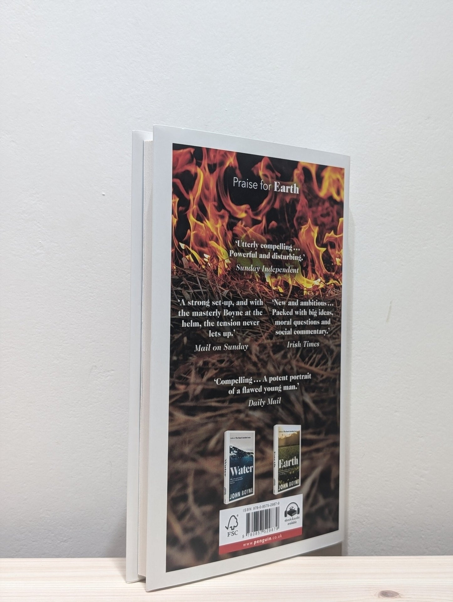 Fire by John Boyne (Signed First Edition) - Fialta Books