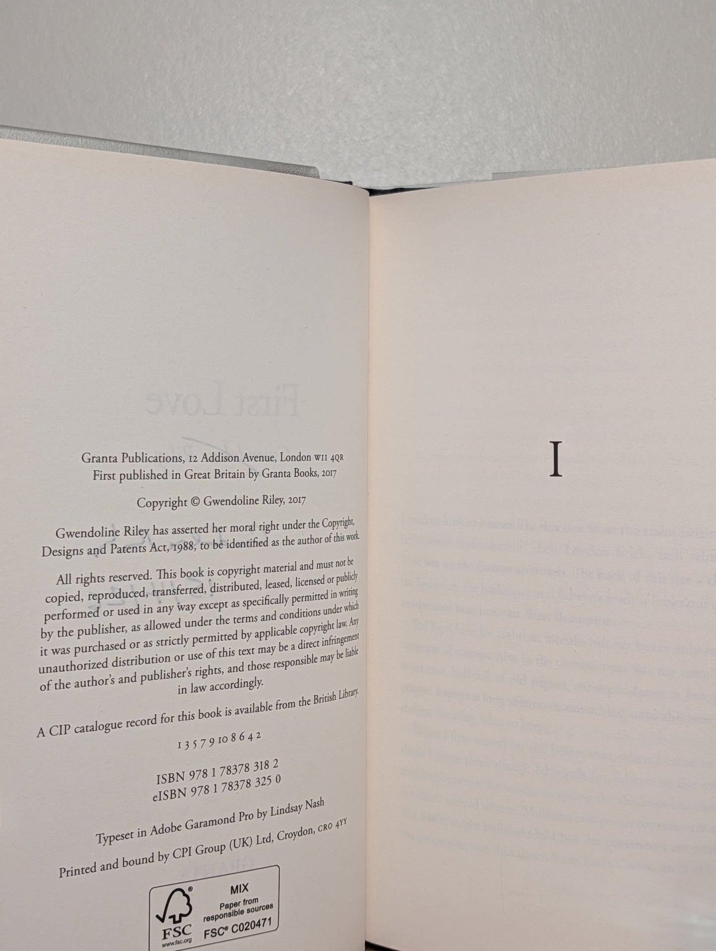 First Love by Gwendoline Riley (Signed Dated First Edition) - Fialta Books