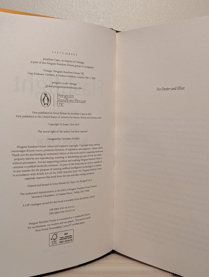 Flashlight by Susan Choi (First Edition) - Fialta Books