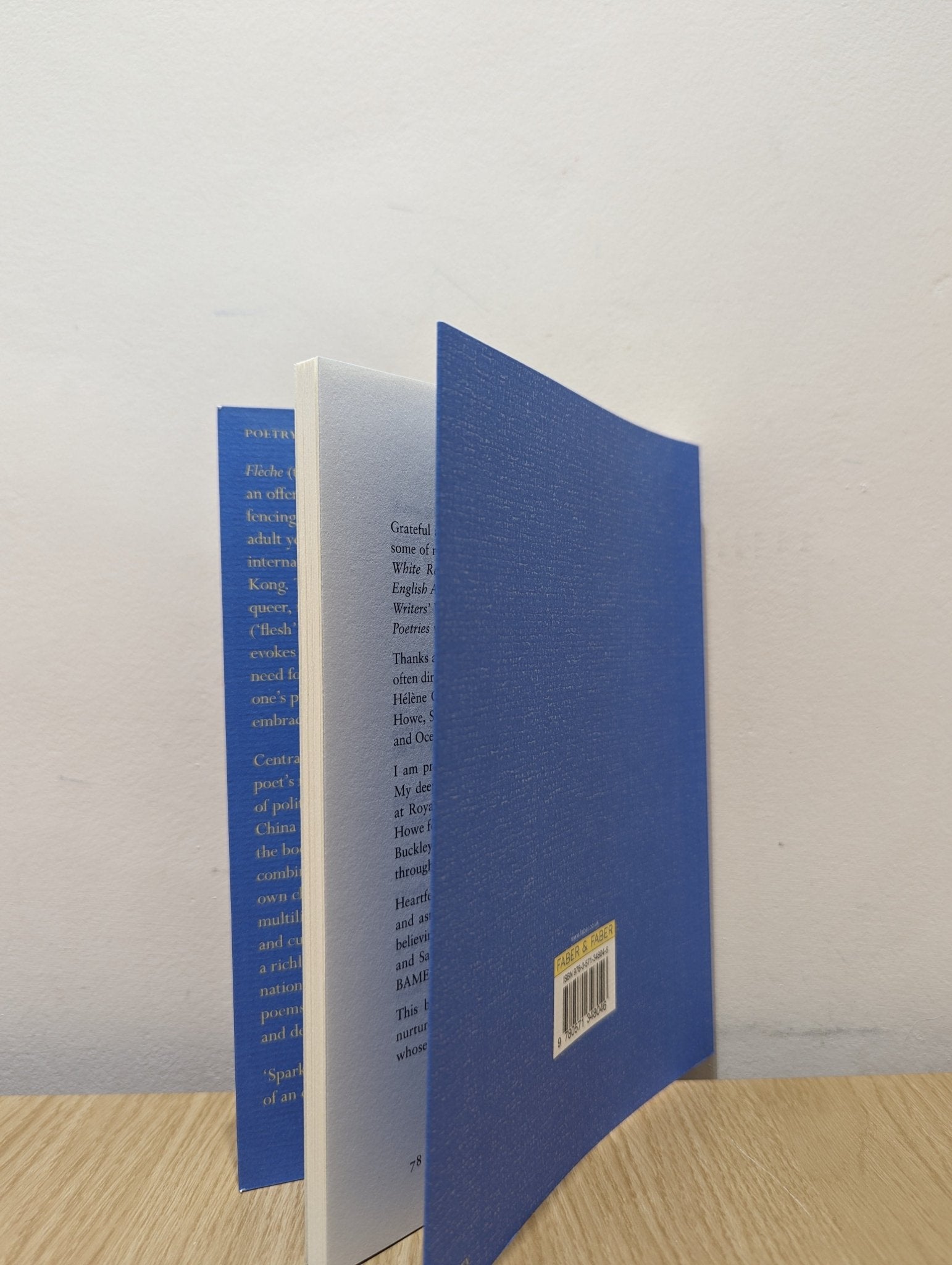 Flèche by Mary Jean Chan (Signed First Edition) - Fialta Books