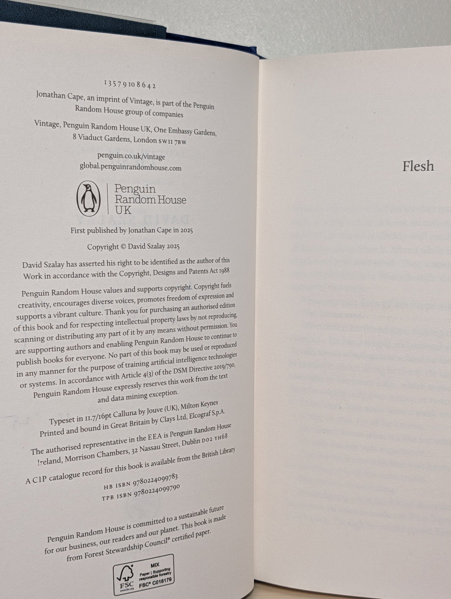 Flesh by David Szalay (Signed Dated First Edition) - Fialta Books