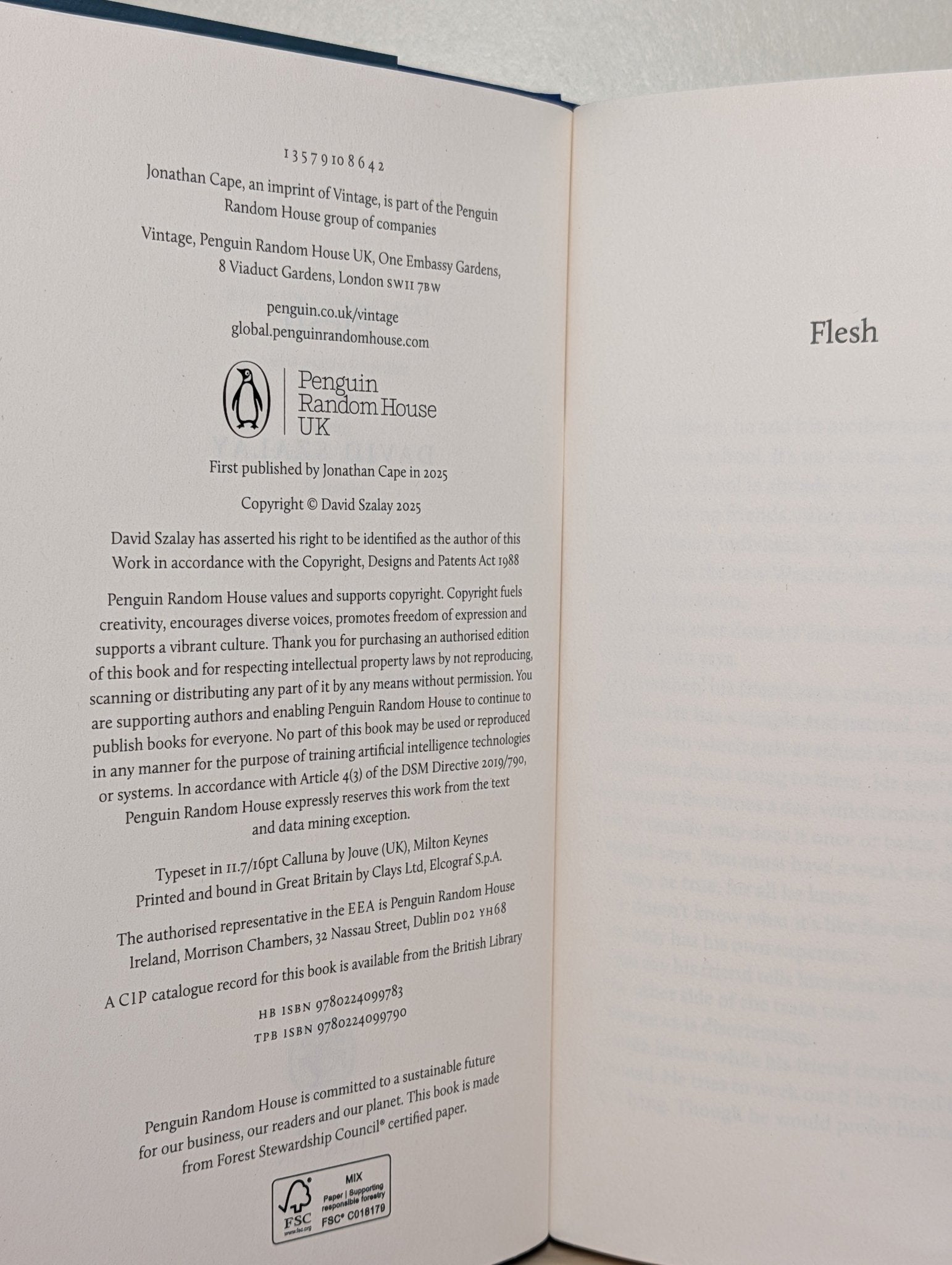 Flesh by David Szalay (Signed First Edition) - Fialta Books