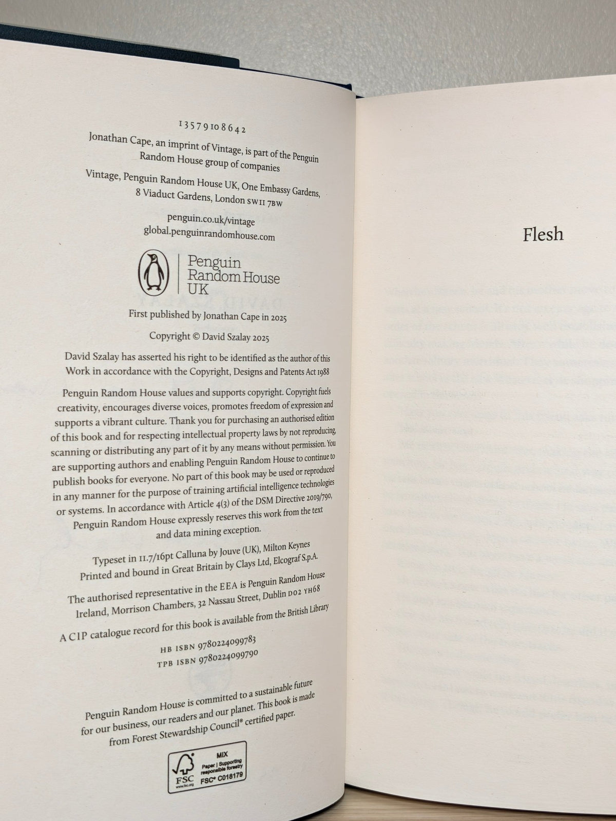 Flesh by David Szalay (Signed Lined First Edition) - Fialta Books