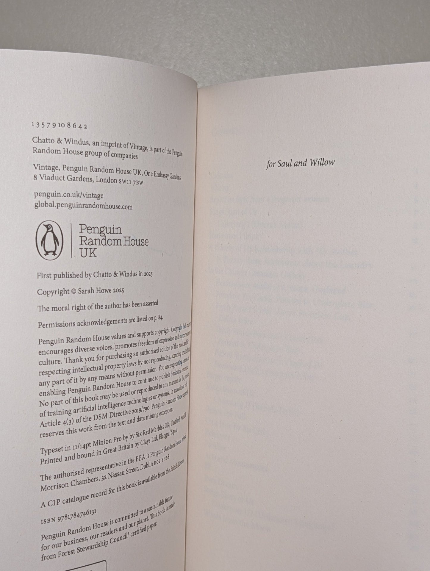 Foretokens by Sarah Howe (Signed First Edition) - Fialta Books