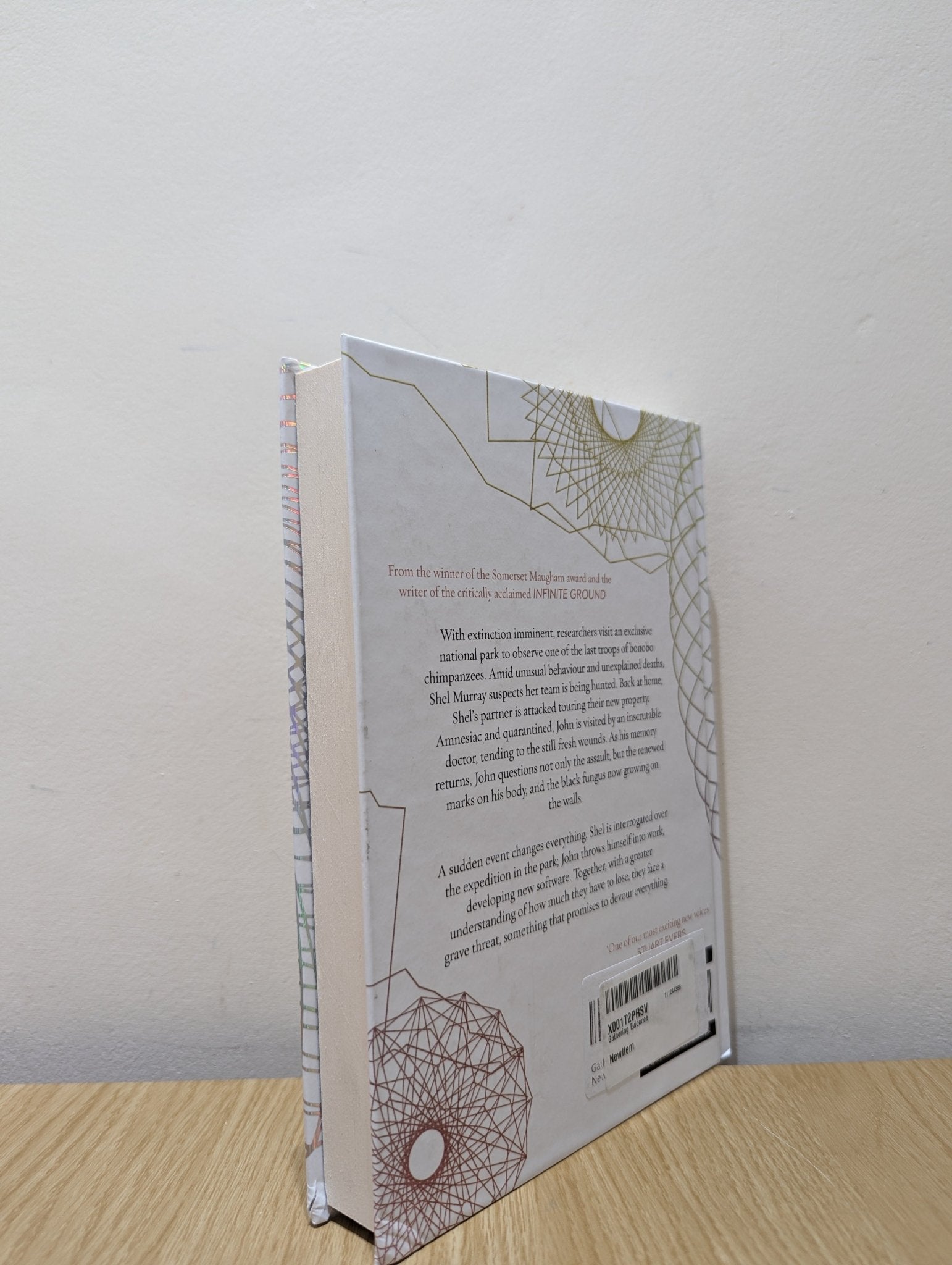 Gathering Evidence by Martin MacInnes (Signed First Edition) - Fialta Books