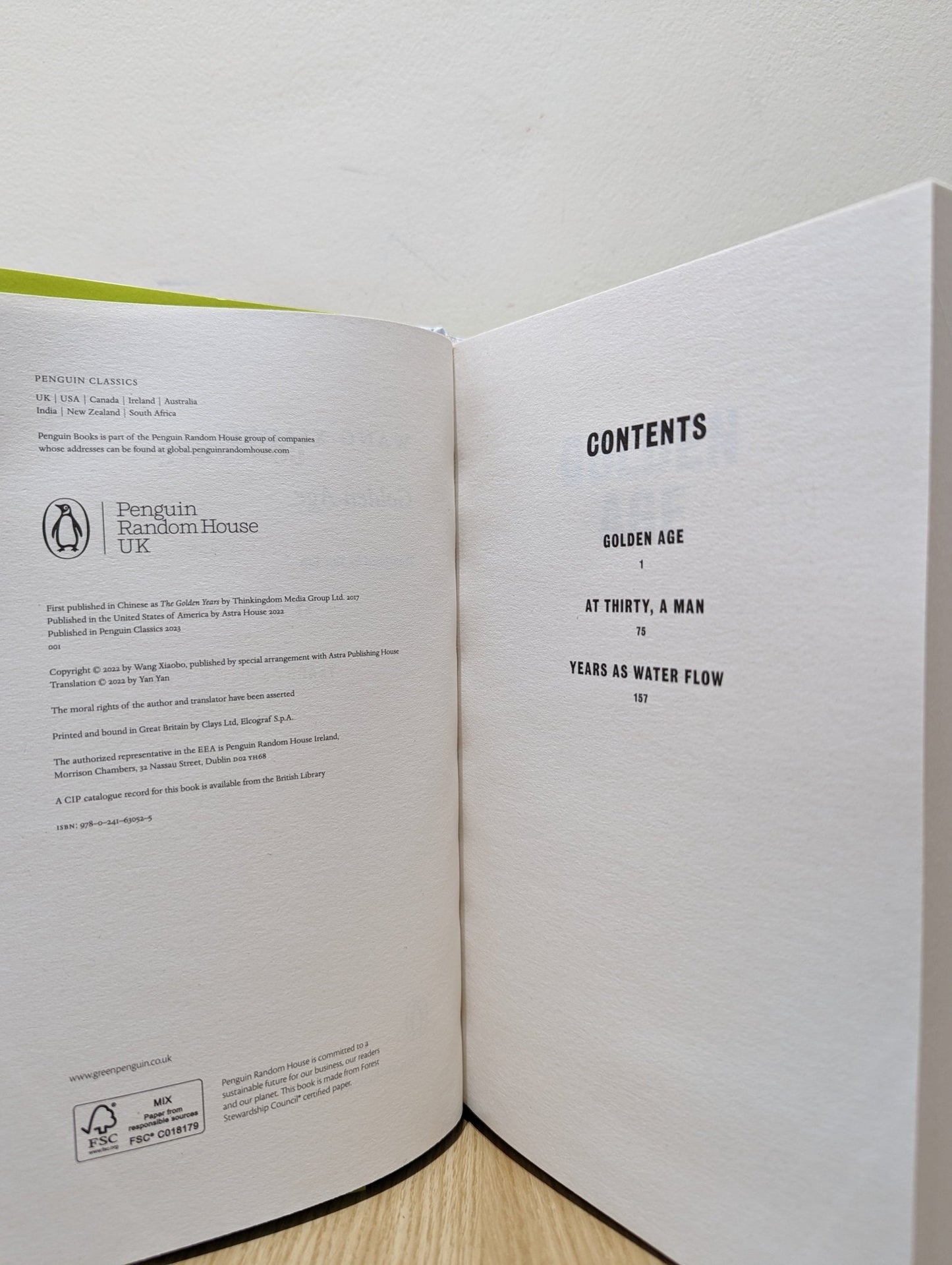 Golden Age by Wang Xiaobo (First Edition) - Fialta Books