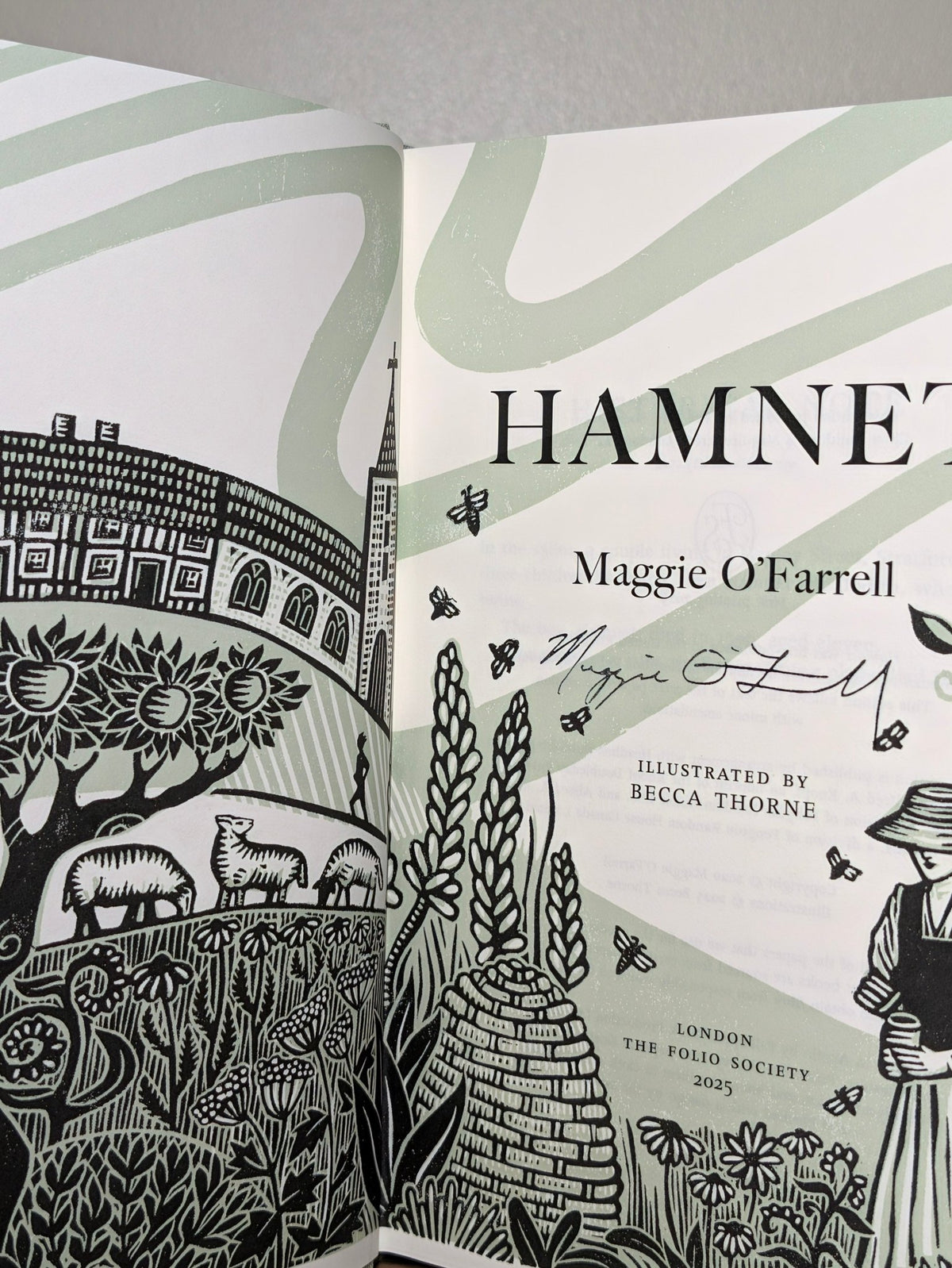 Hamnet by Maggie O'Farrell (Stamped Folio Slipcase Edition) - Fialta Books