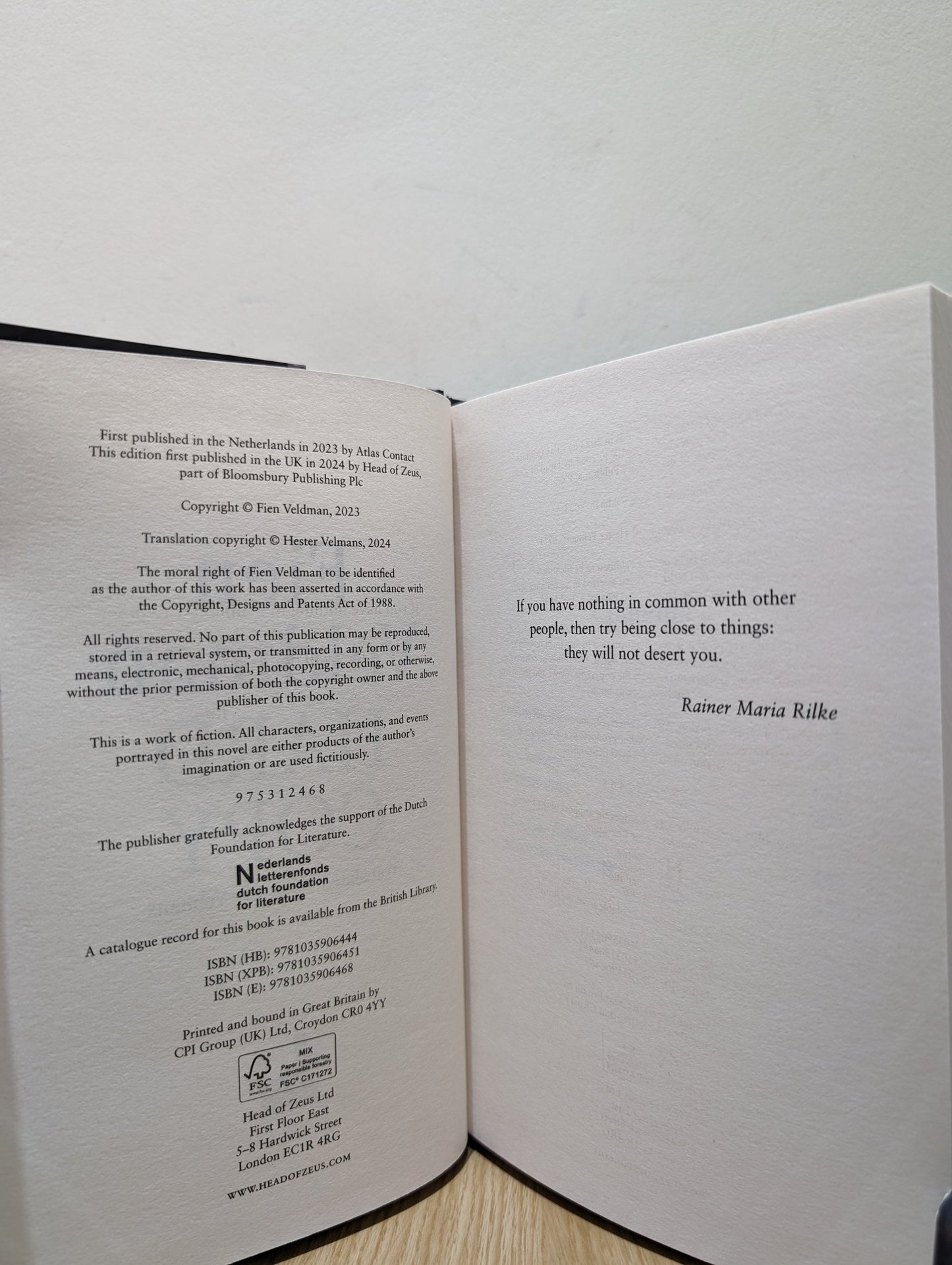 Hard Copy: A story of girl meets printer by Fien Veldman (Signed First Edition) - Fialta Books