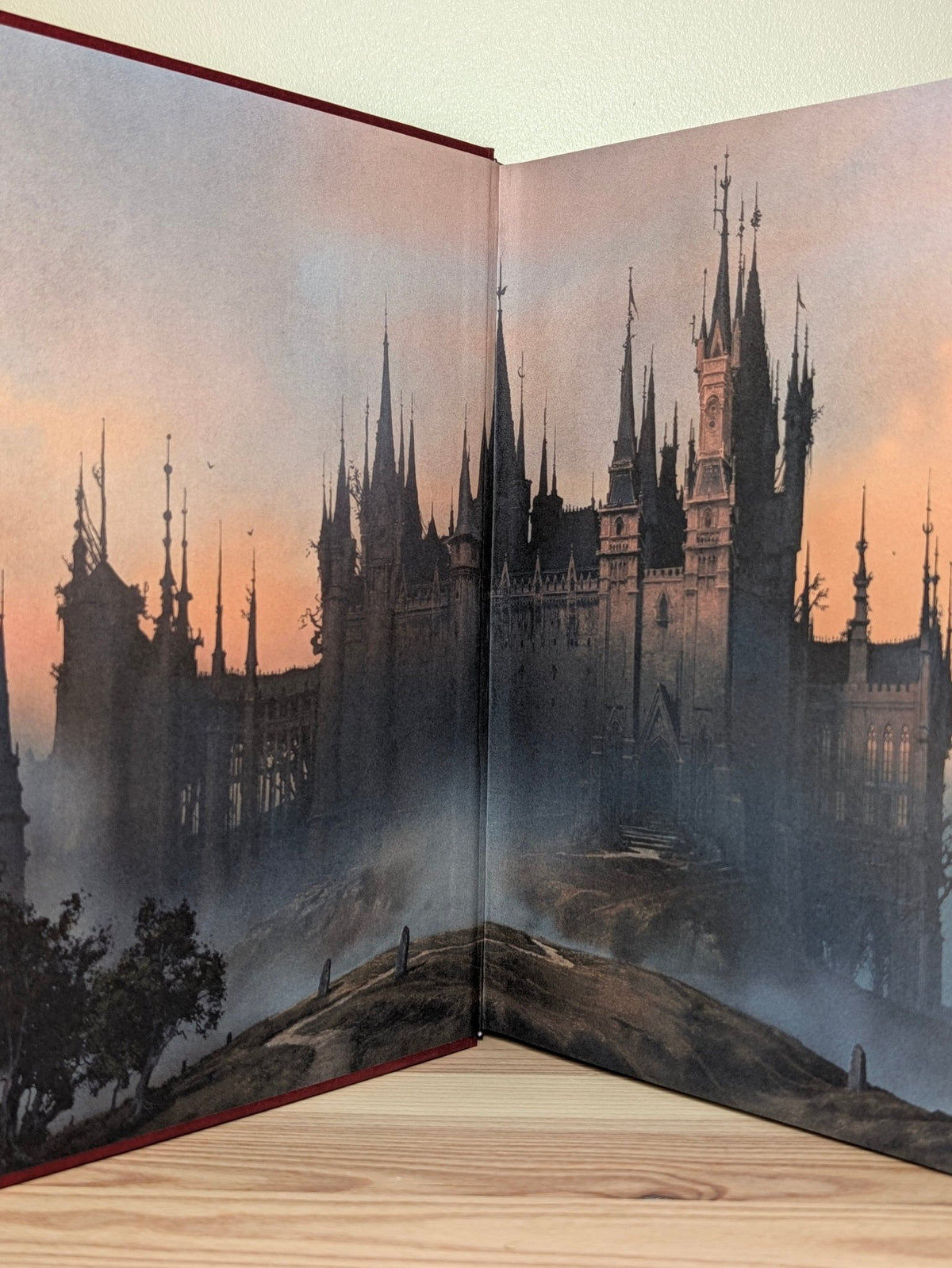 Harry Potter and the Half-Blood Prince: Illustrated Edition by J.K. Rowling (Signed Stamped by Illustrator) - Fialta Books