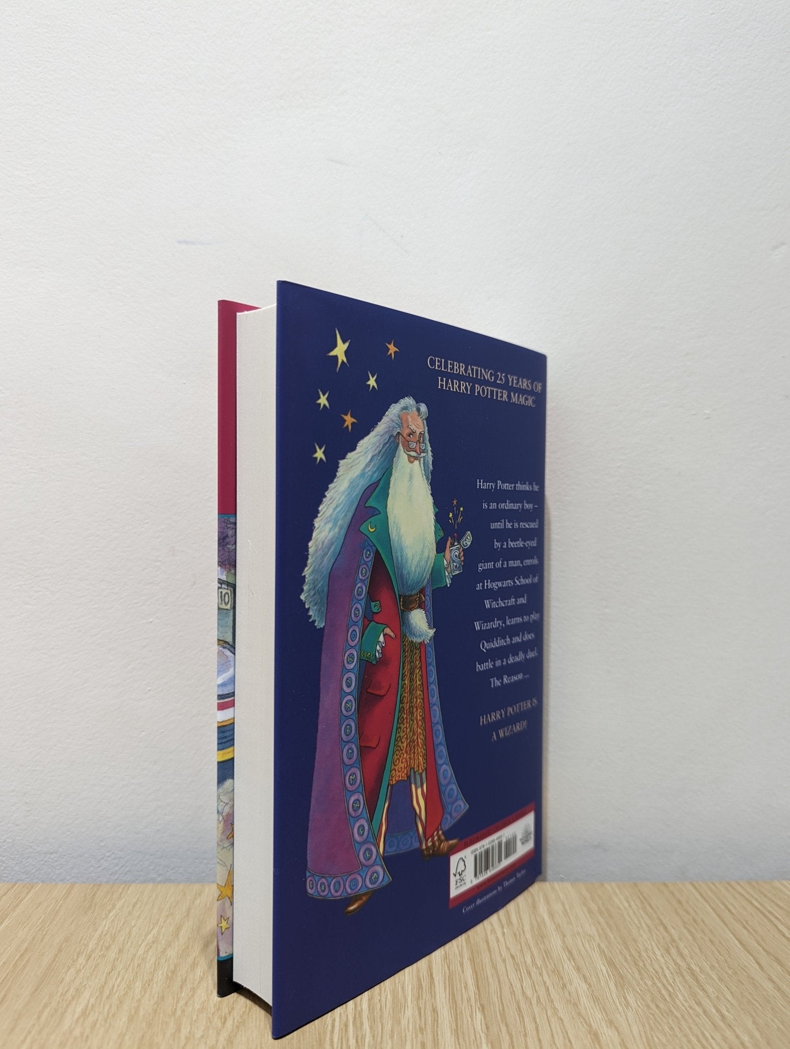 Harry Potter and the Philosopher's Stone - 25th Anniversary Edition by J.K. Rowling - Fialta Books